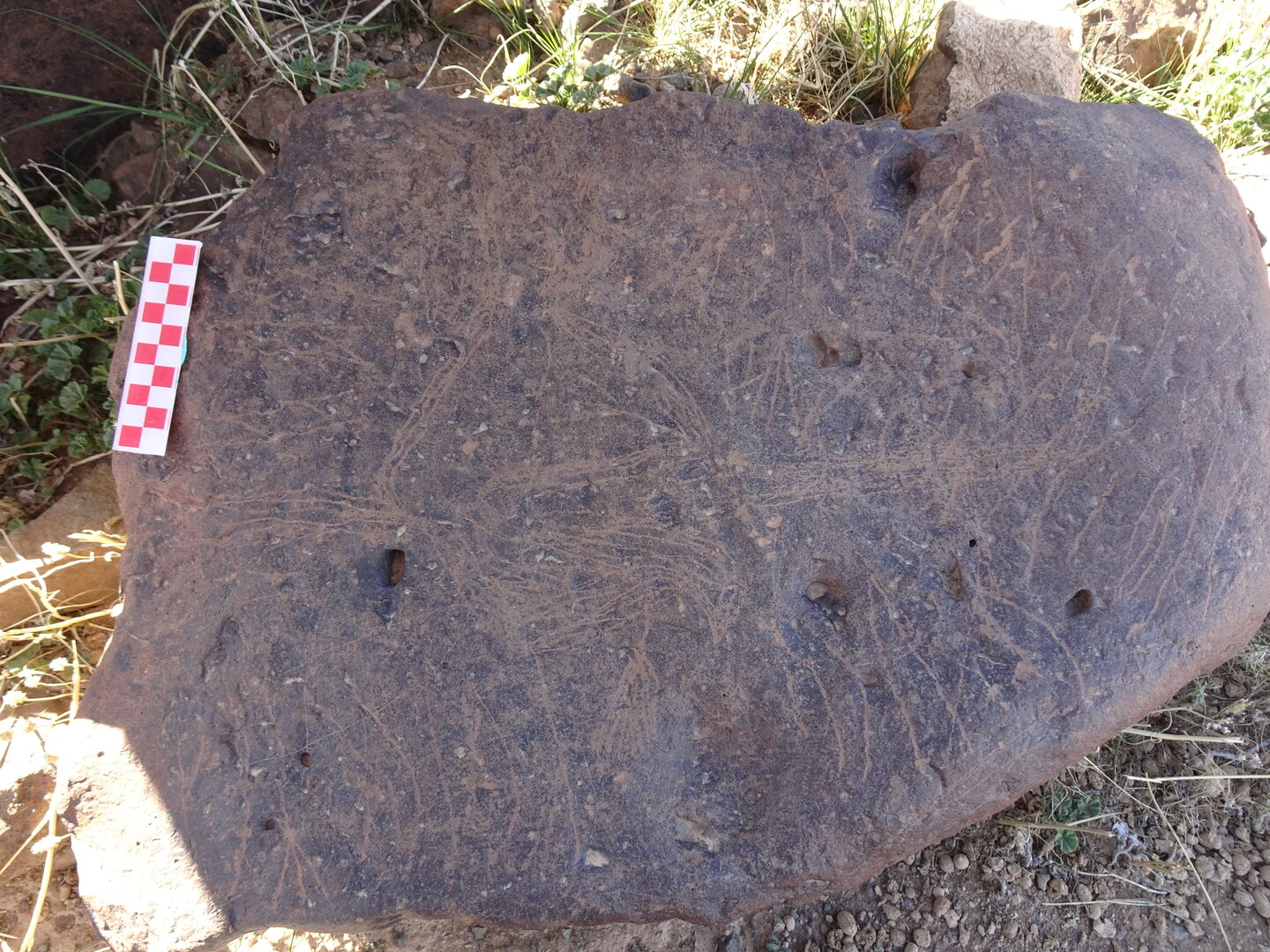 Image of siglum BES20 1429