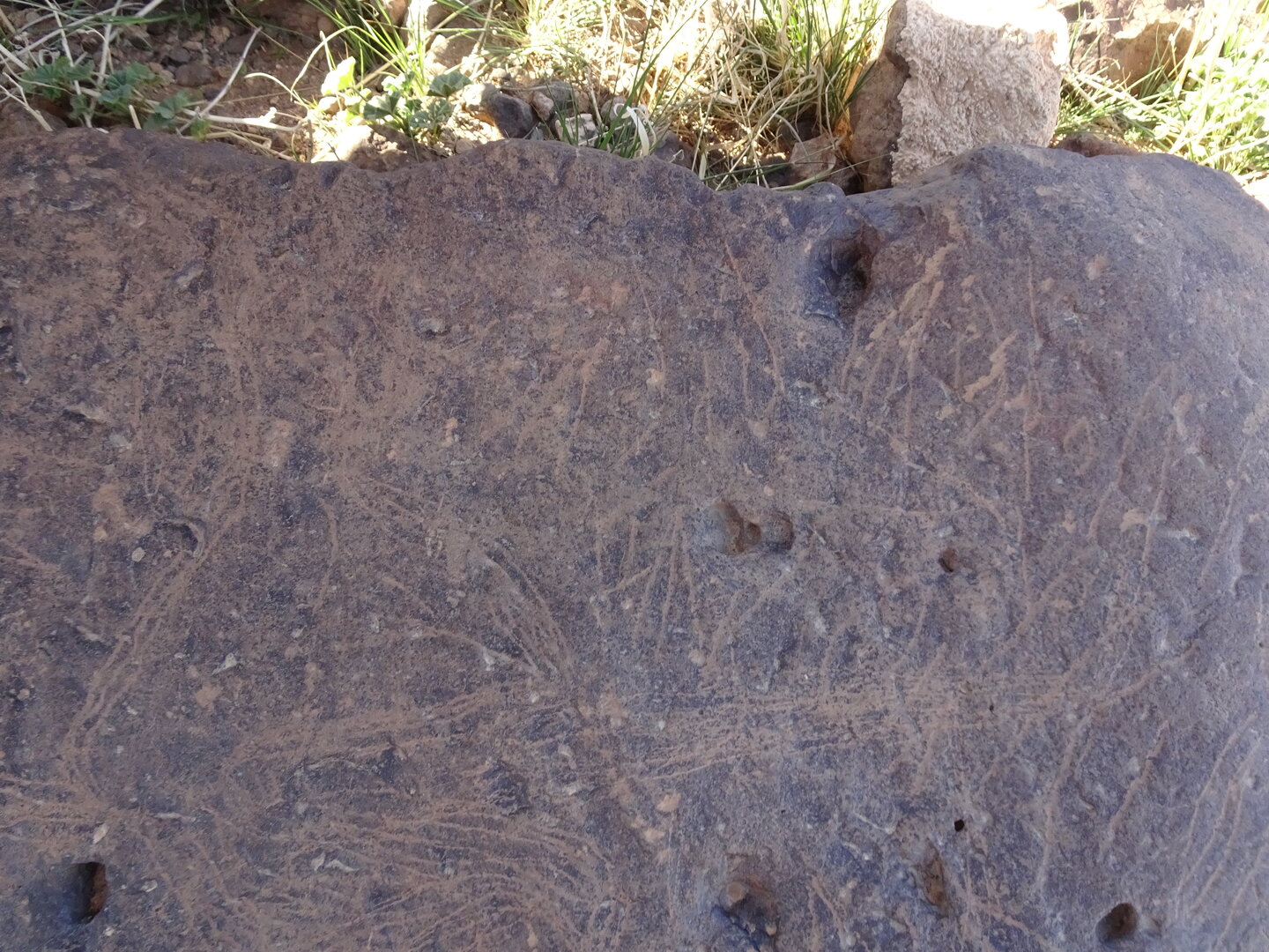 Image of siglum BES20 1429