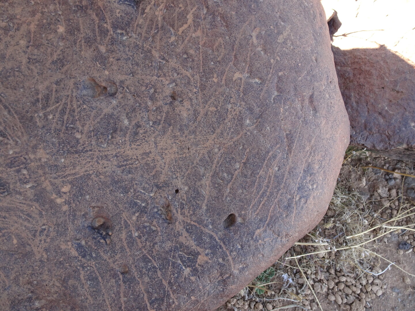 Image of siglum BES20 1429