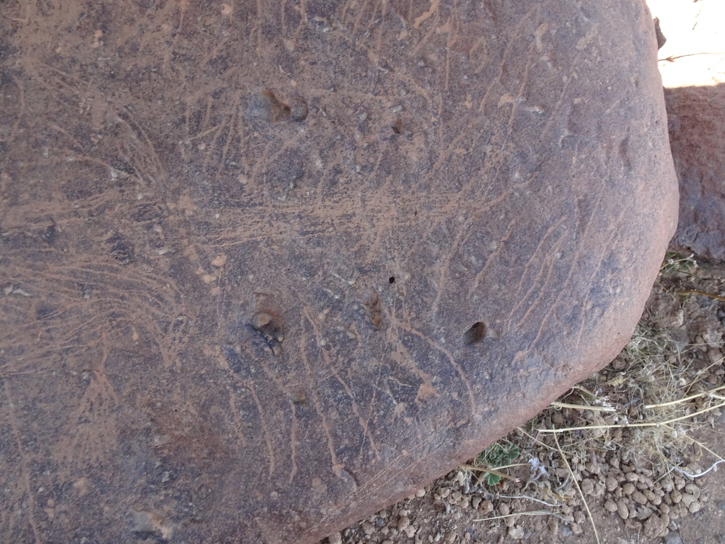 Image of siglum BES20 1429