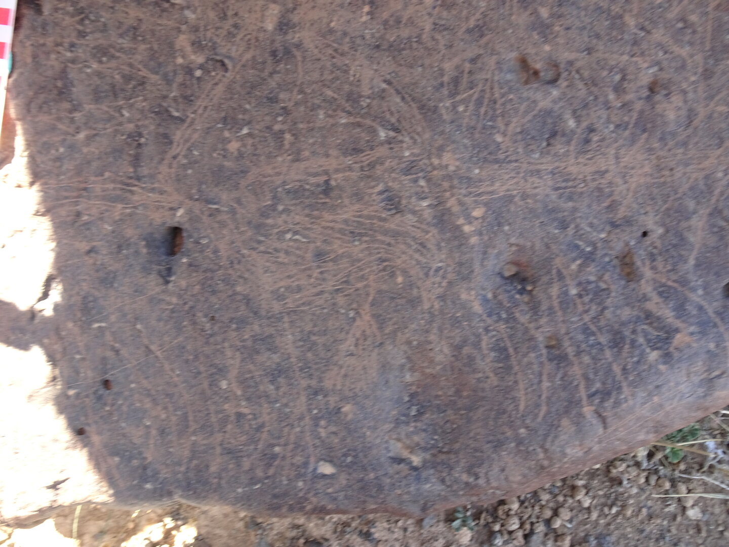 Image of siglum BES20 1429