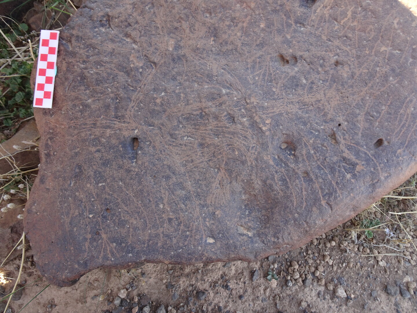 Image of siglum BES20 1429