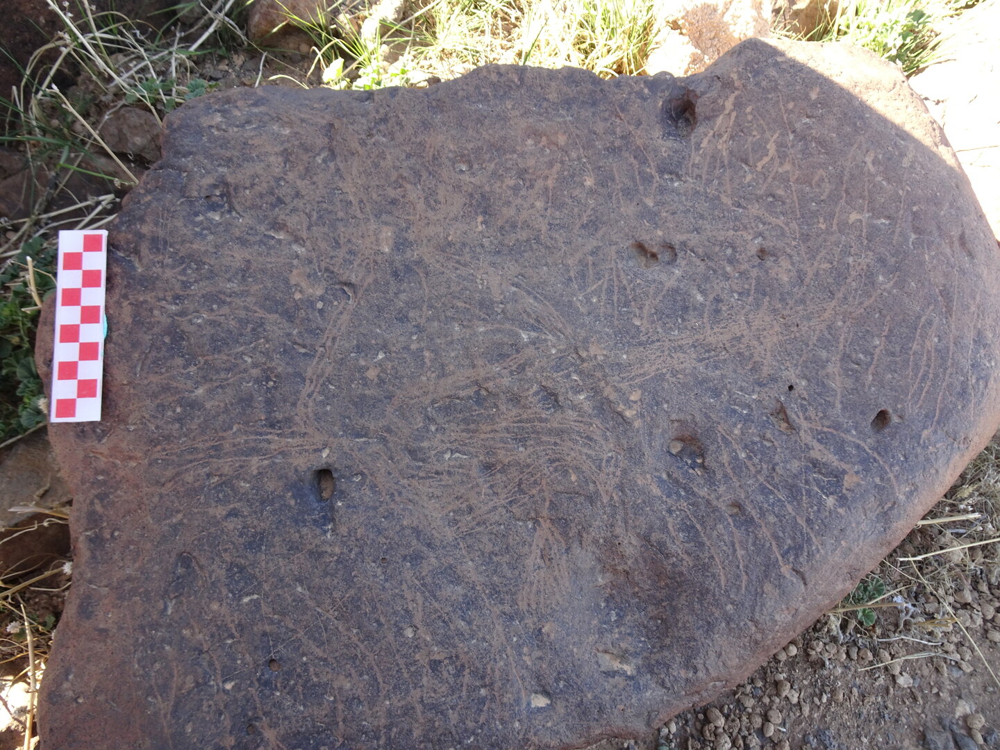 Image of siglum BES20 1429