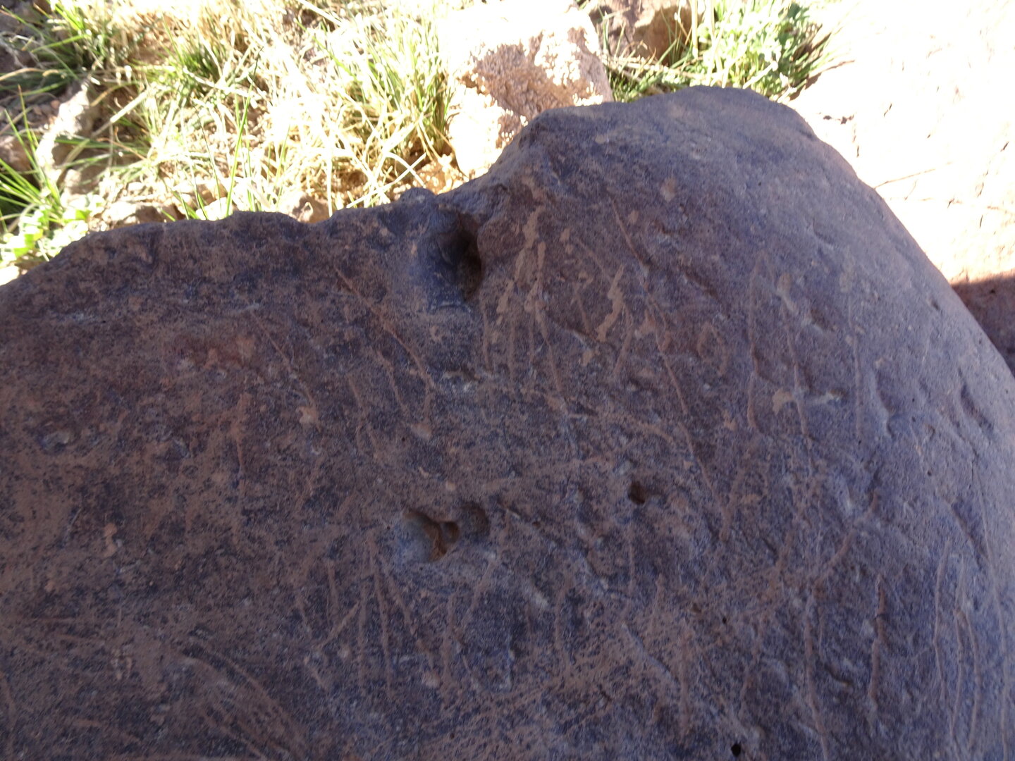 Image of siglum BES20 1429