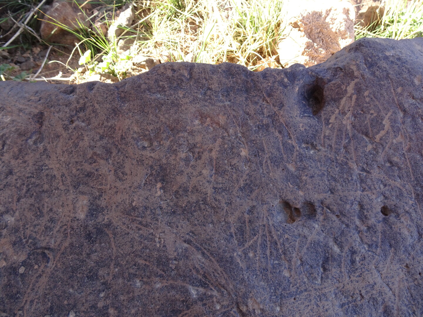 Image of siglum BES20 1429