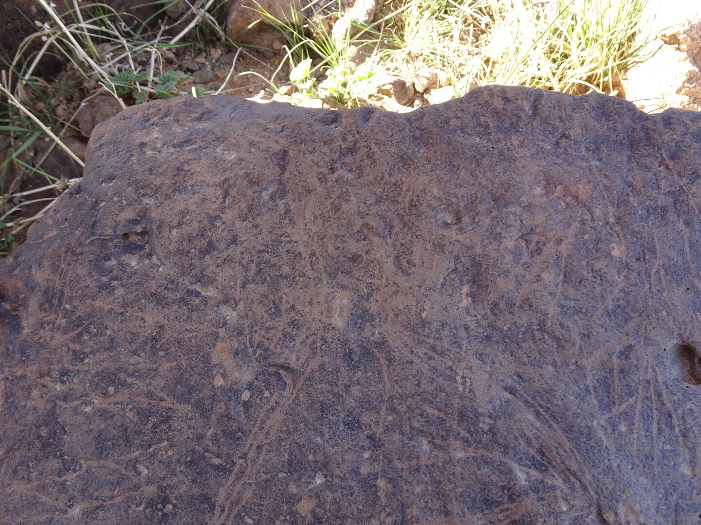 Image of siglum BES20 1429