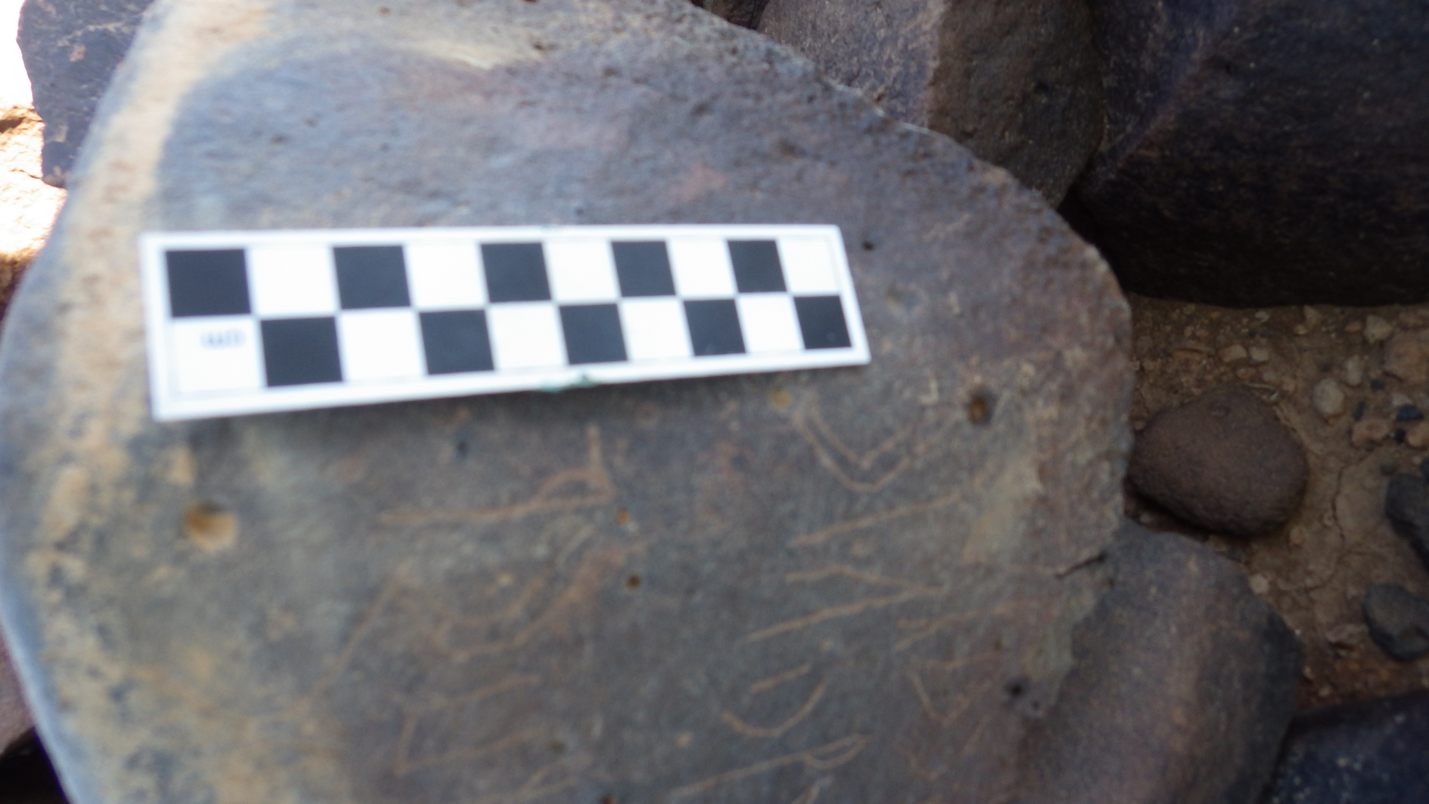 Image of siglum BES20 1430