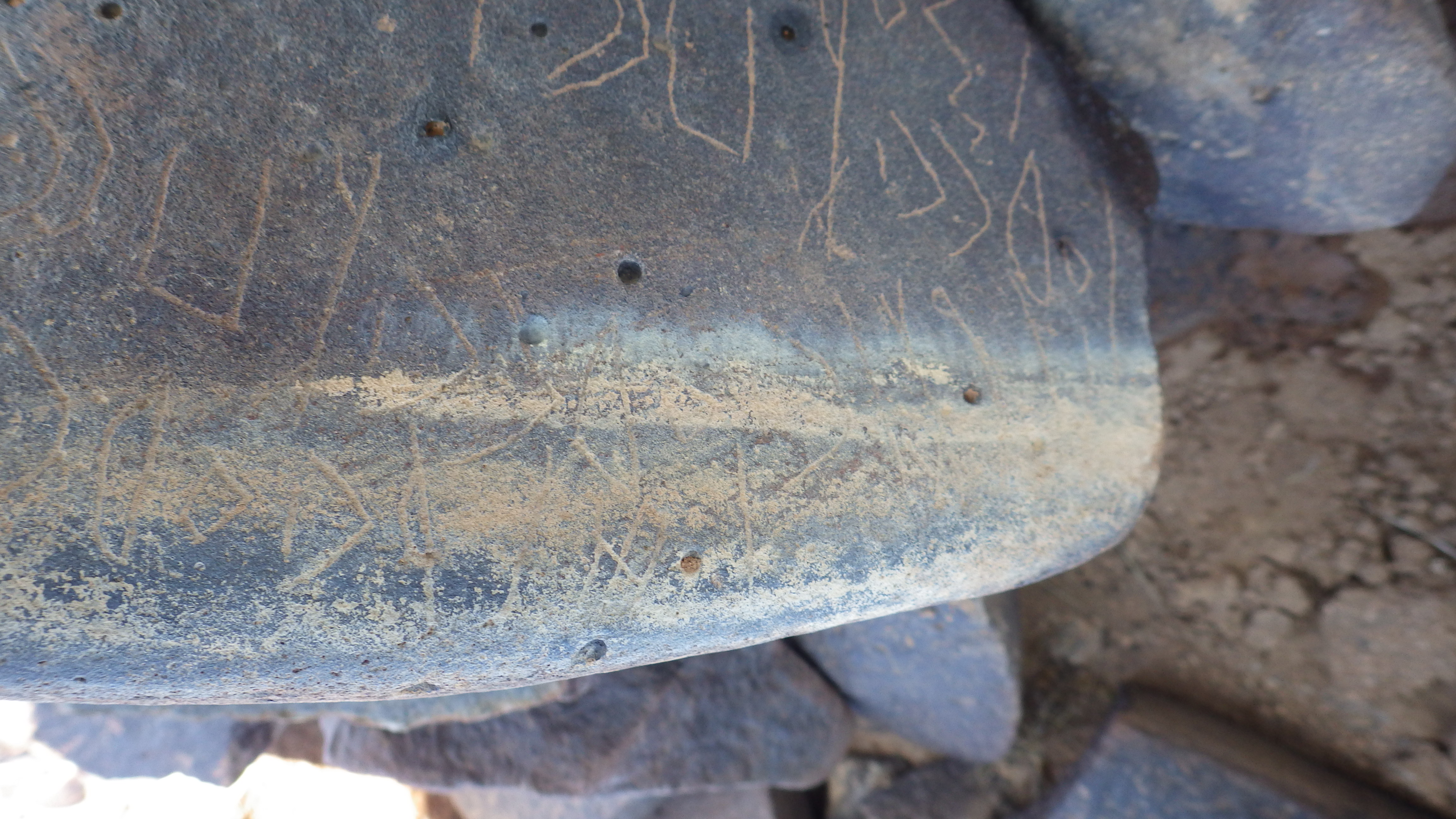 Image of siglum BES20 1431