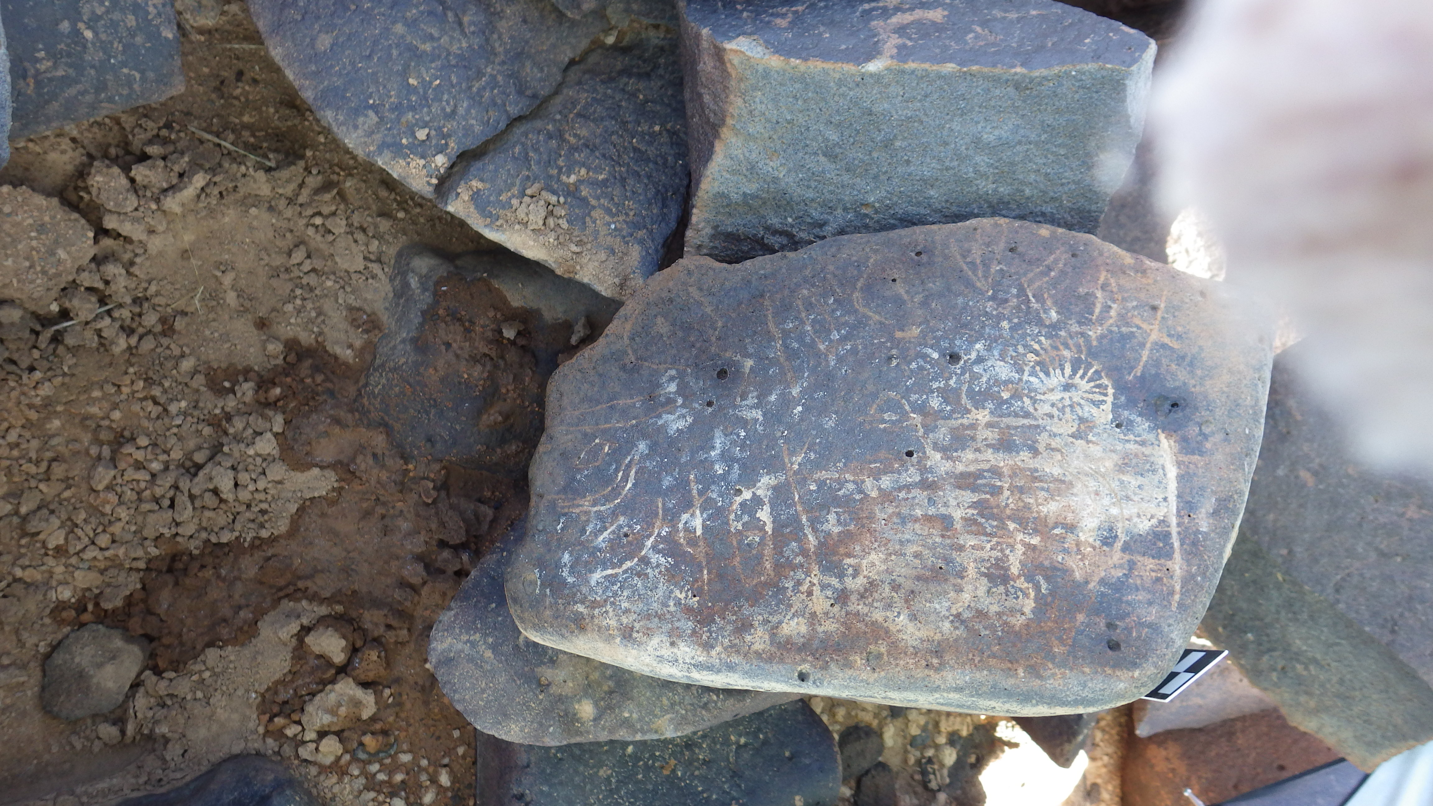 Image of siglum BES20 1434