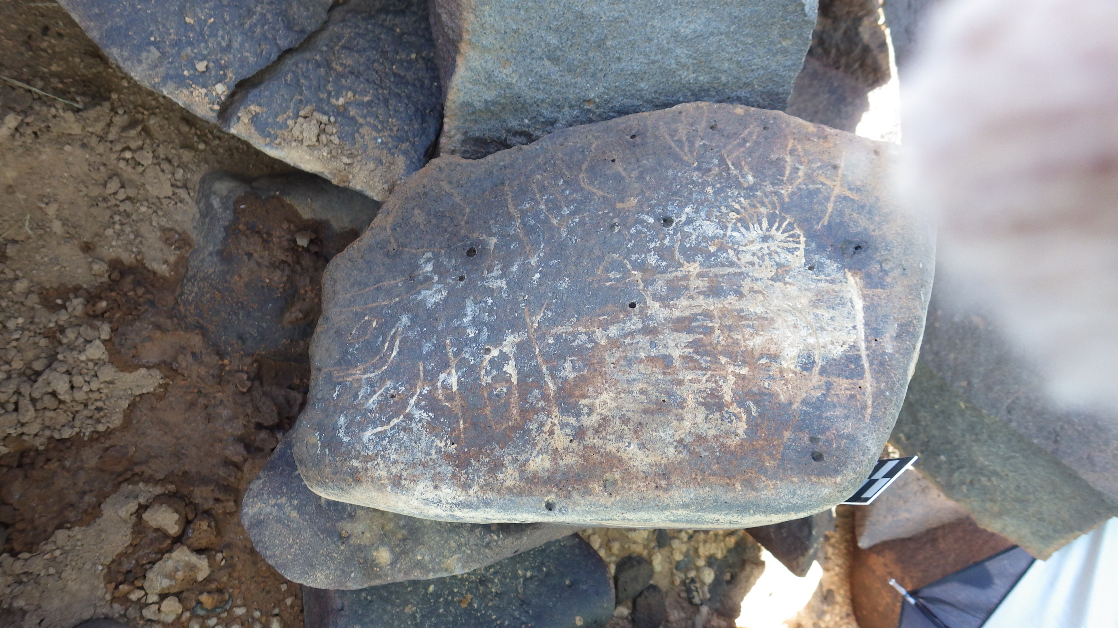 Image of siglum BES20 1434