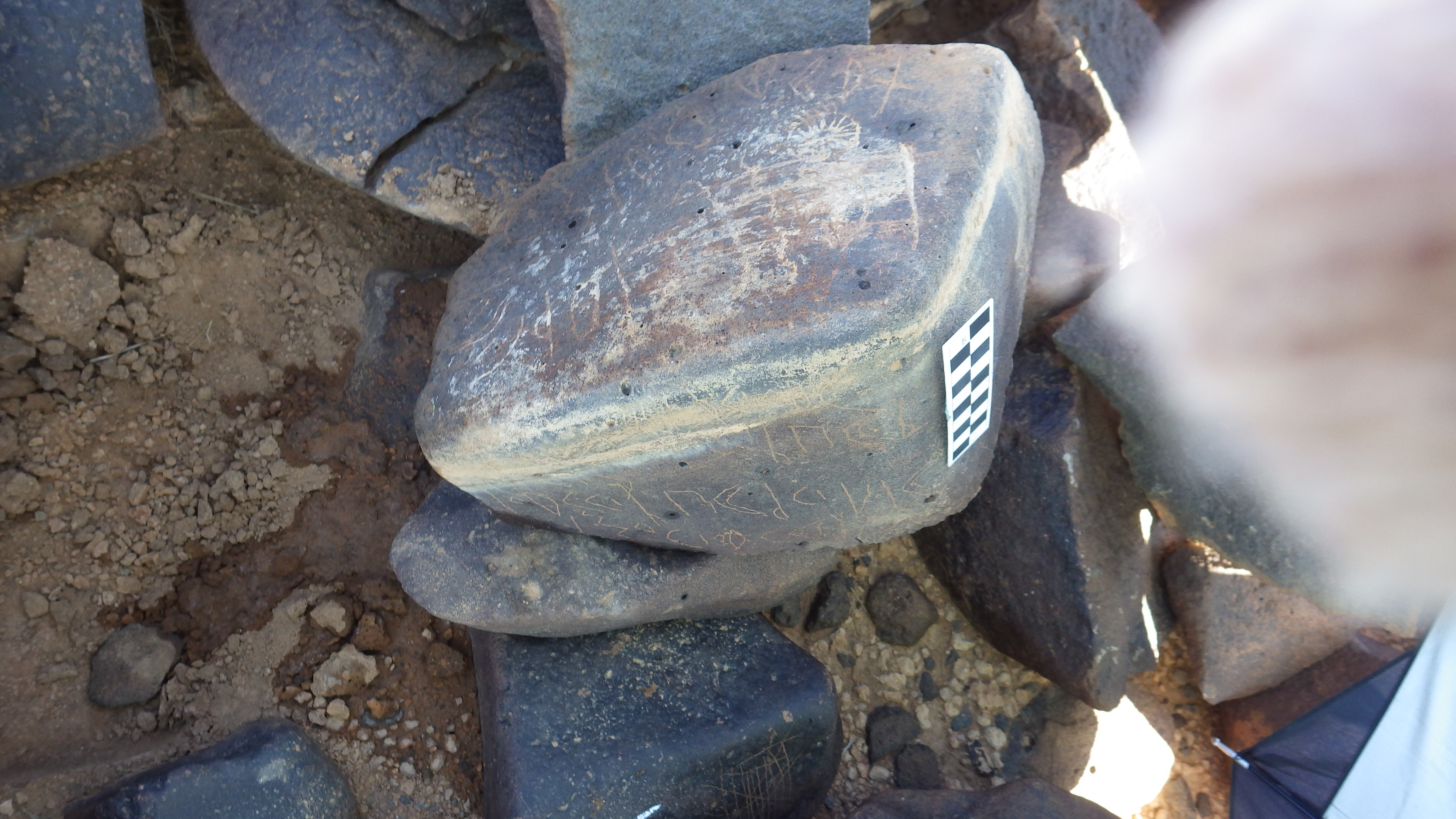 Image of siglum BES20 1434