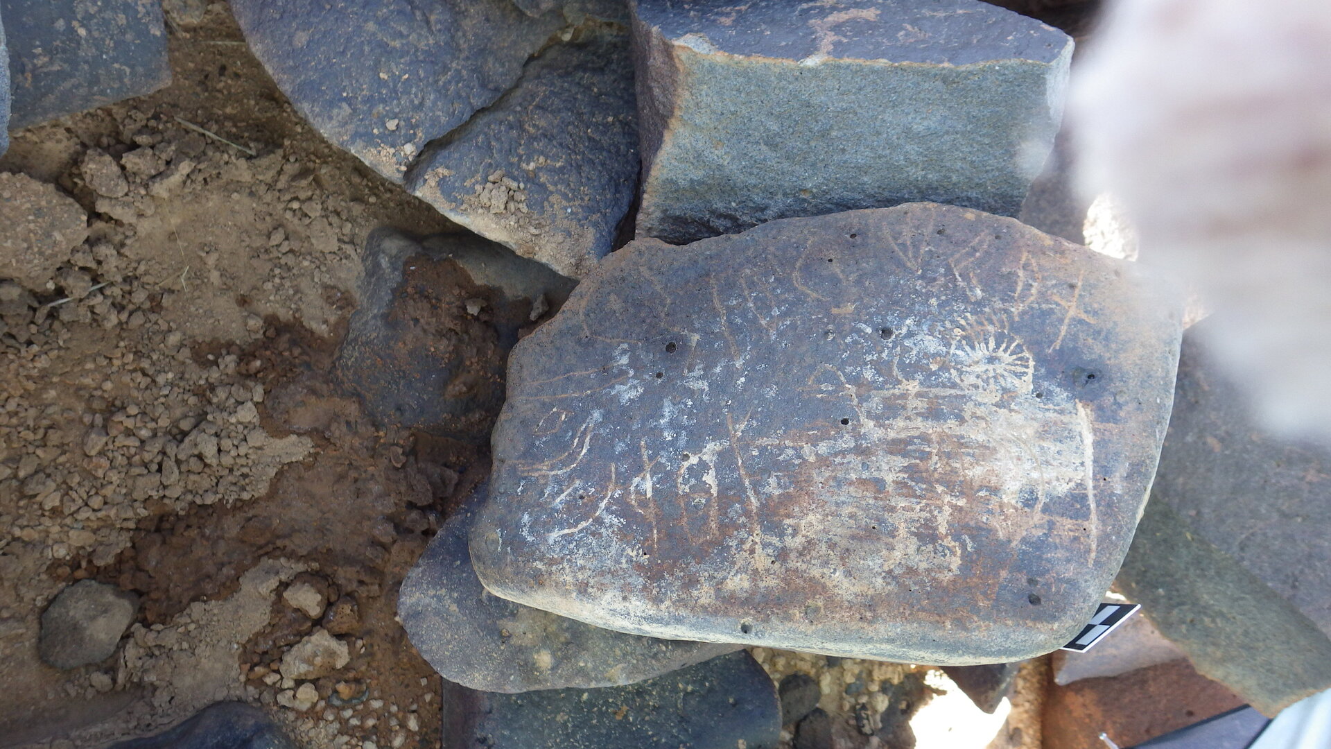 Image of siglum BES20 1434