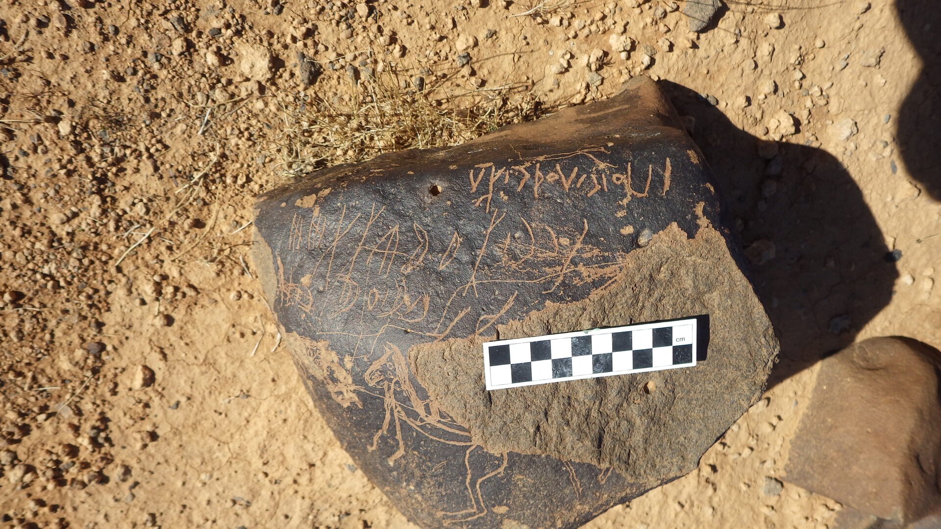 Image of siglum BES20 1437
