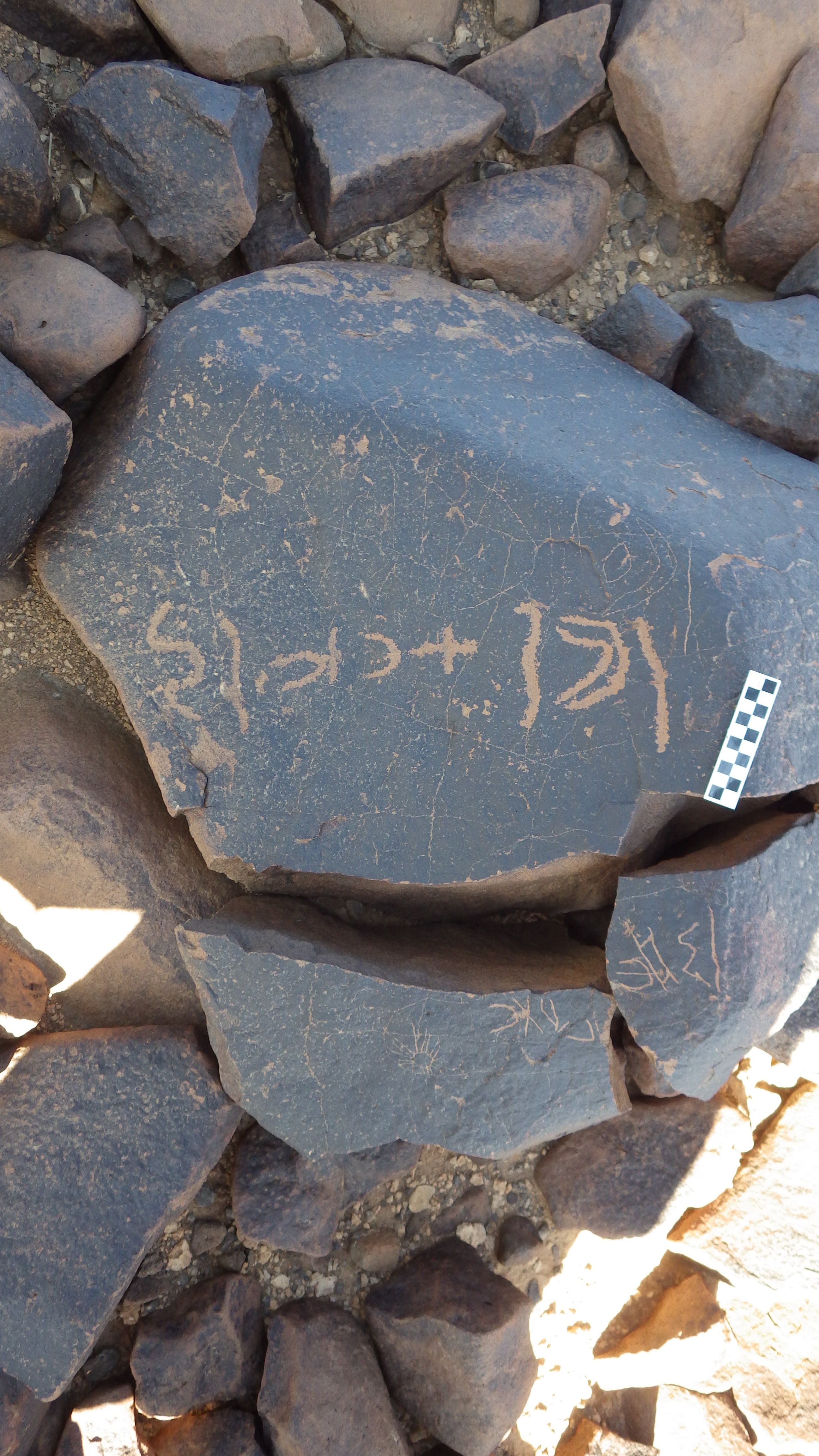 Image of siglum BES20 1445