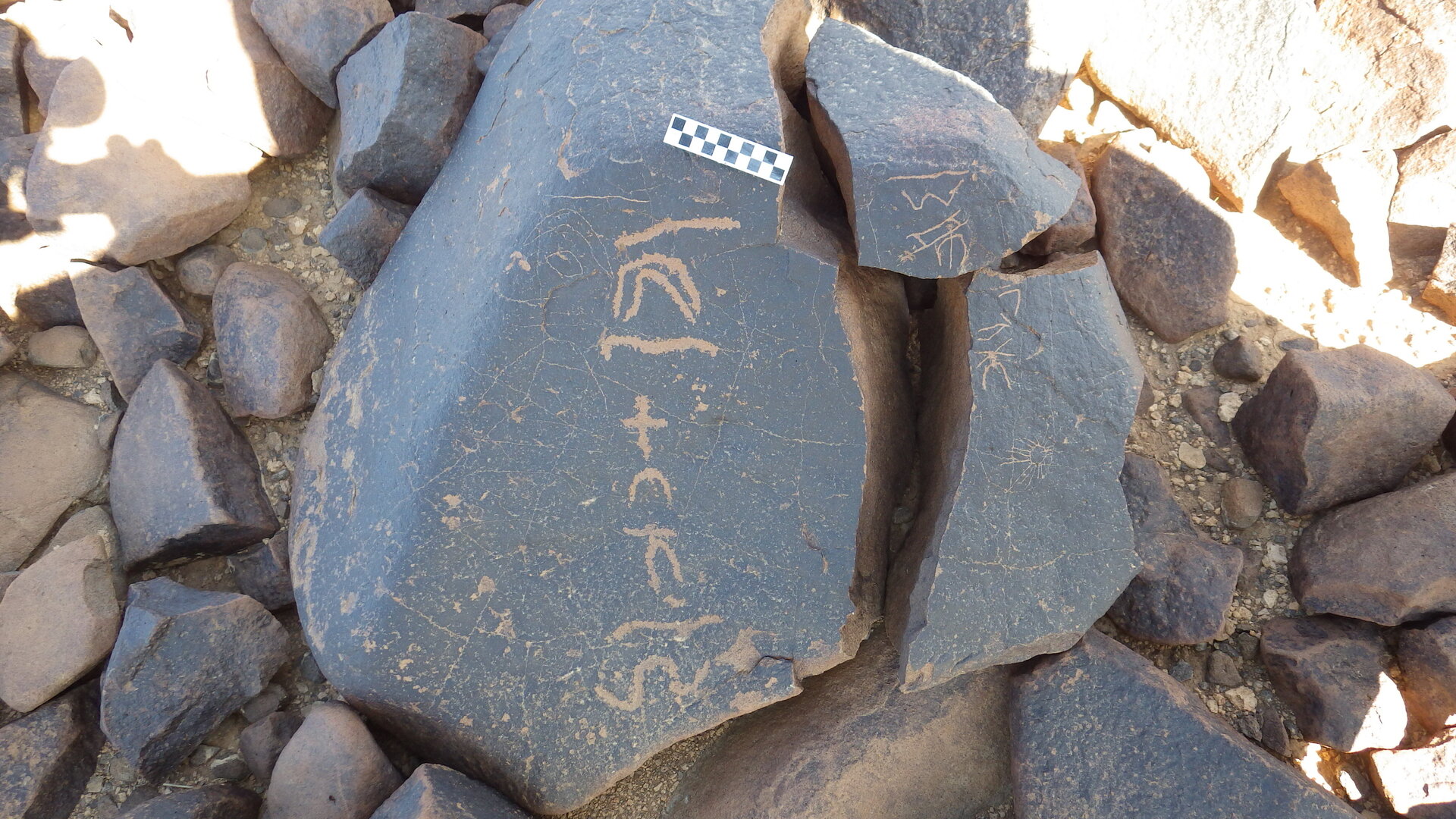 Image of siglum BES20 1445