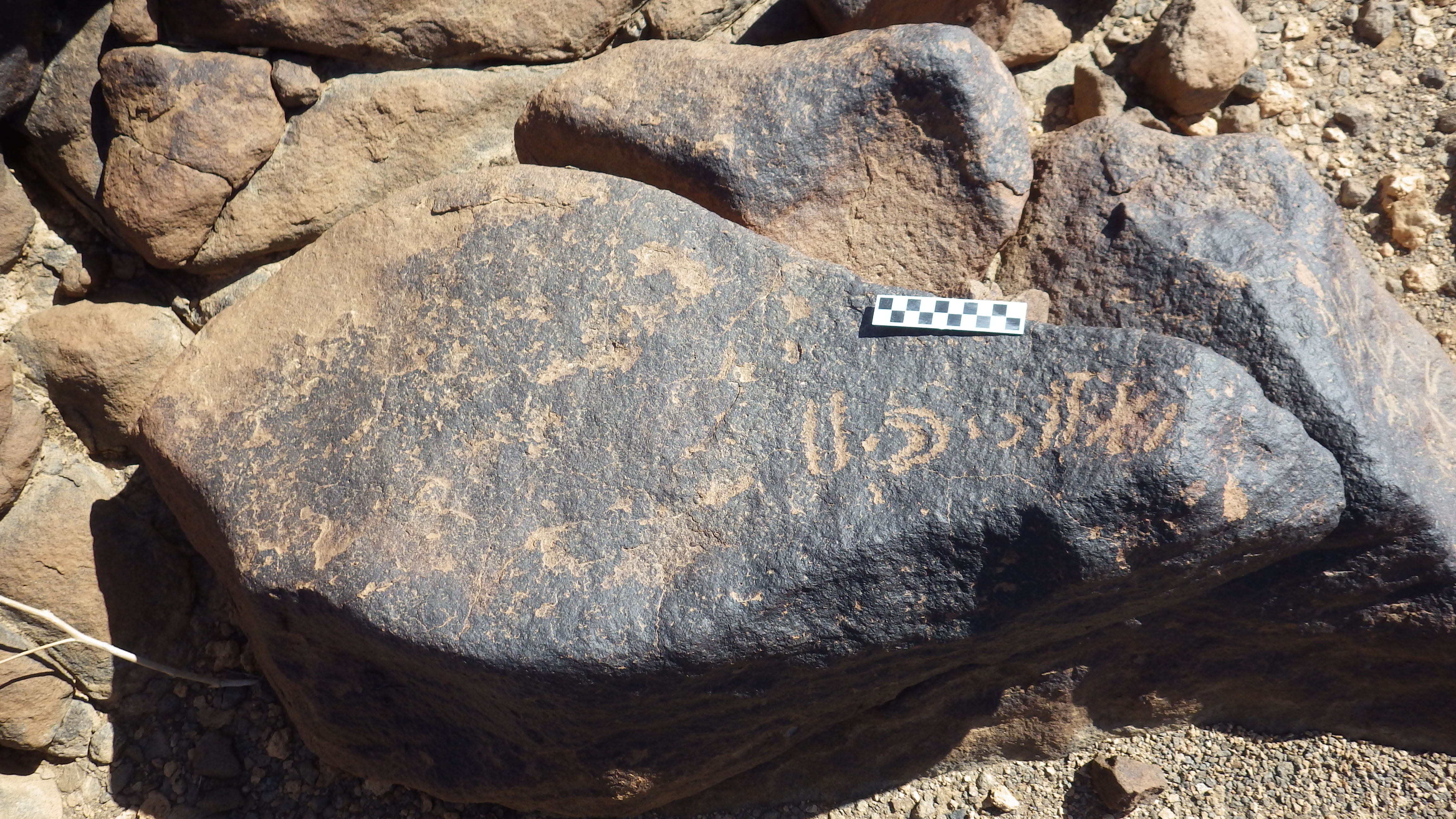 Image of siglum BES20 1447