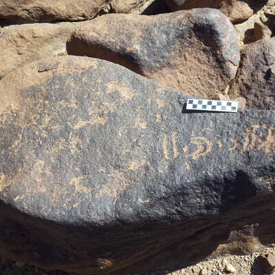 Image of siglum BES20 1447