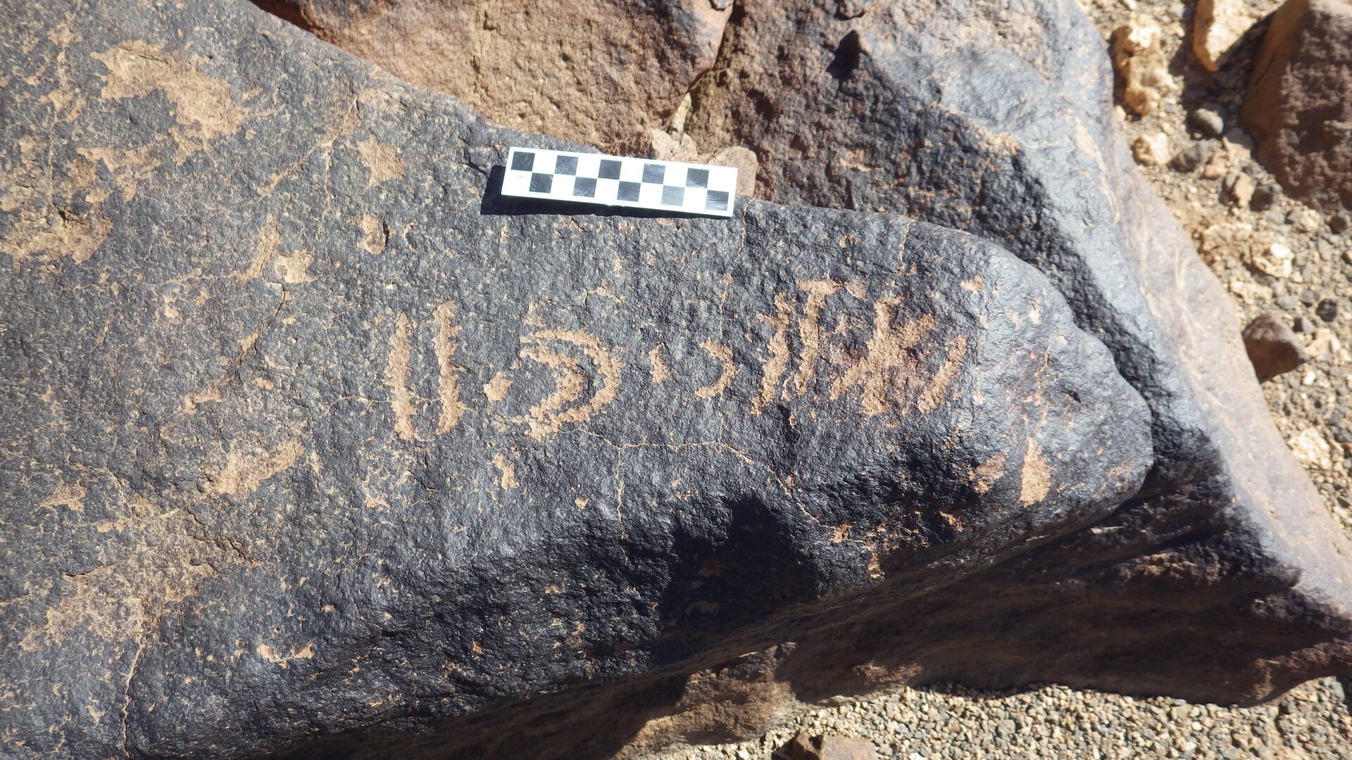 Image of siglum BES20 1447