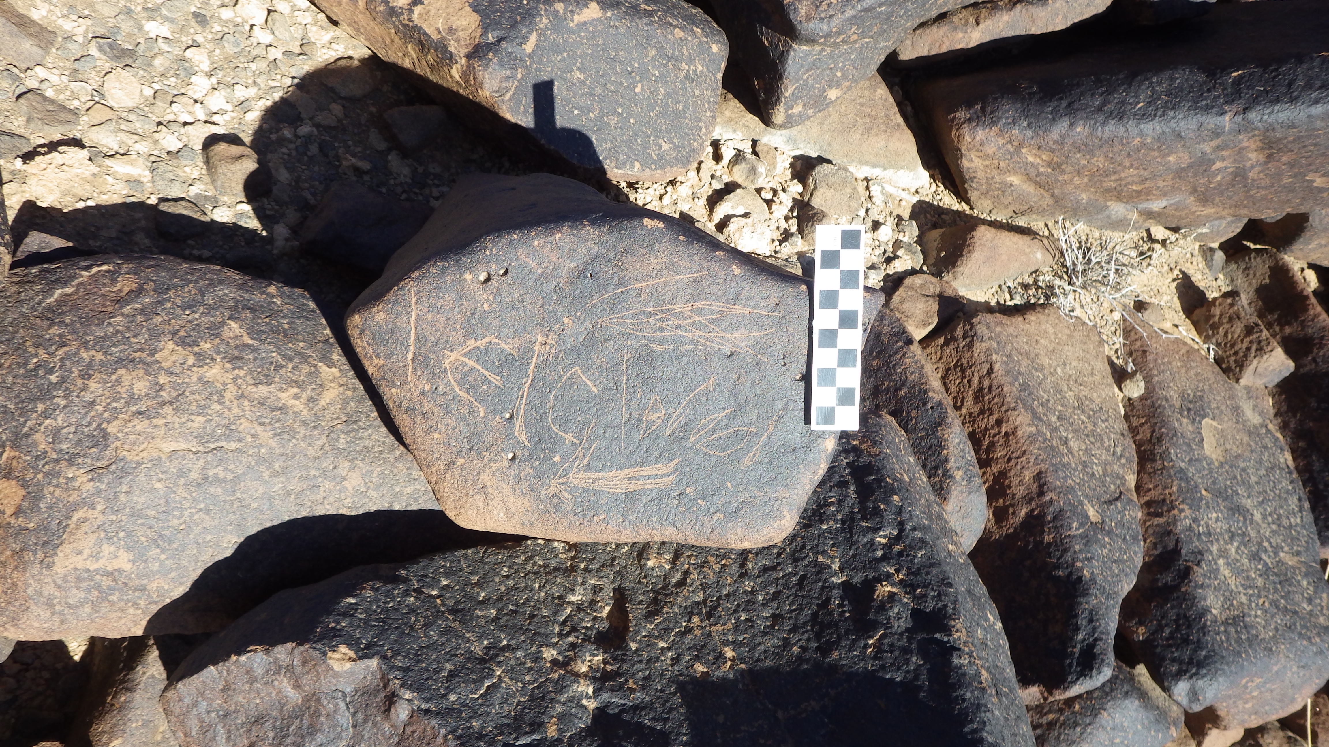 Image of siglum BES20 1448