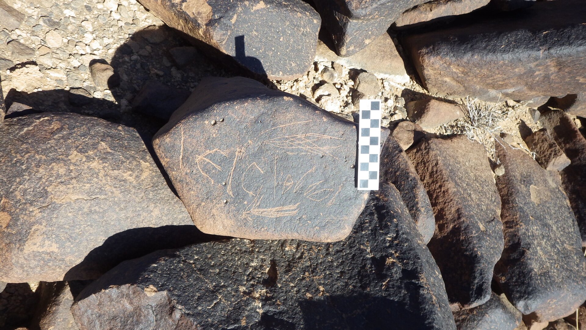 Image of siglum BES20 1449