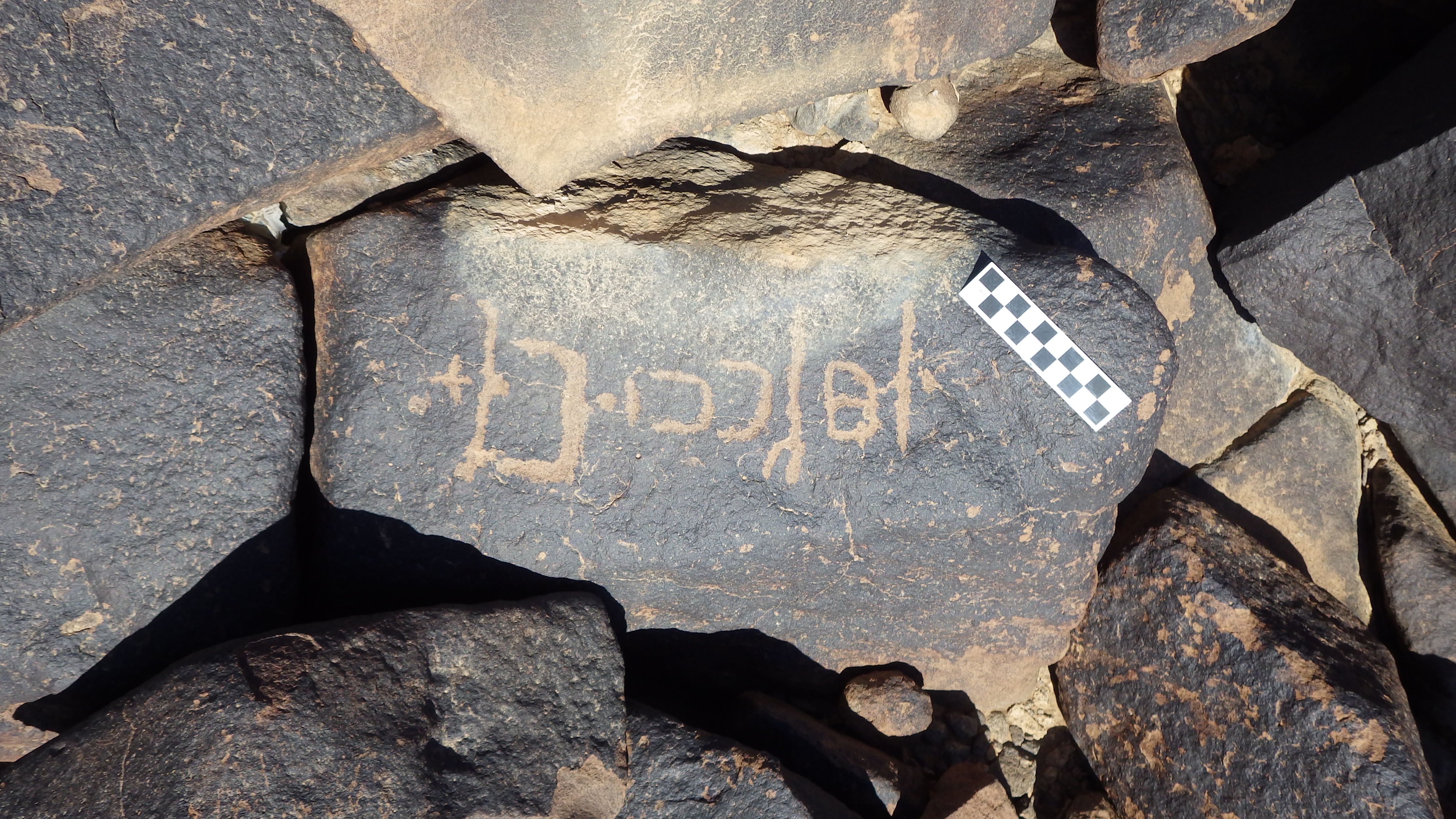 Image of siglum BES20 1455