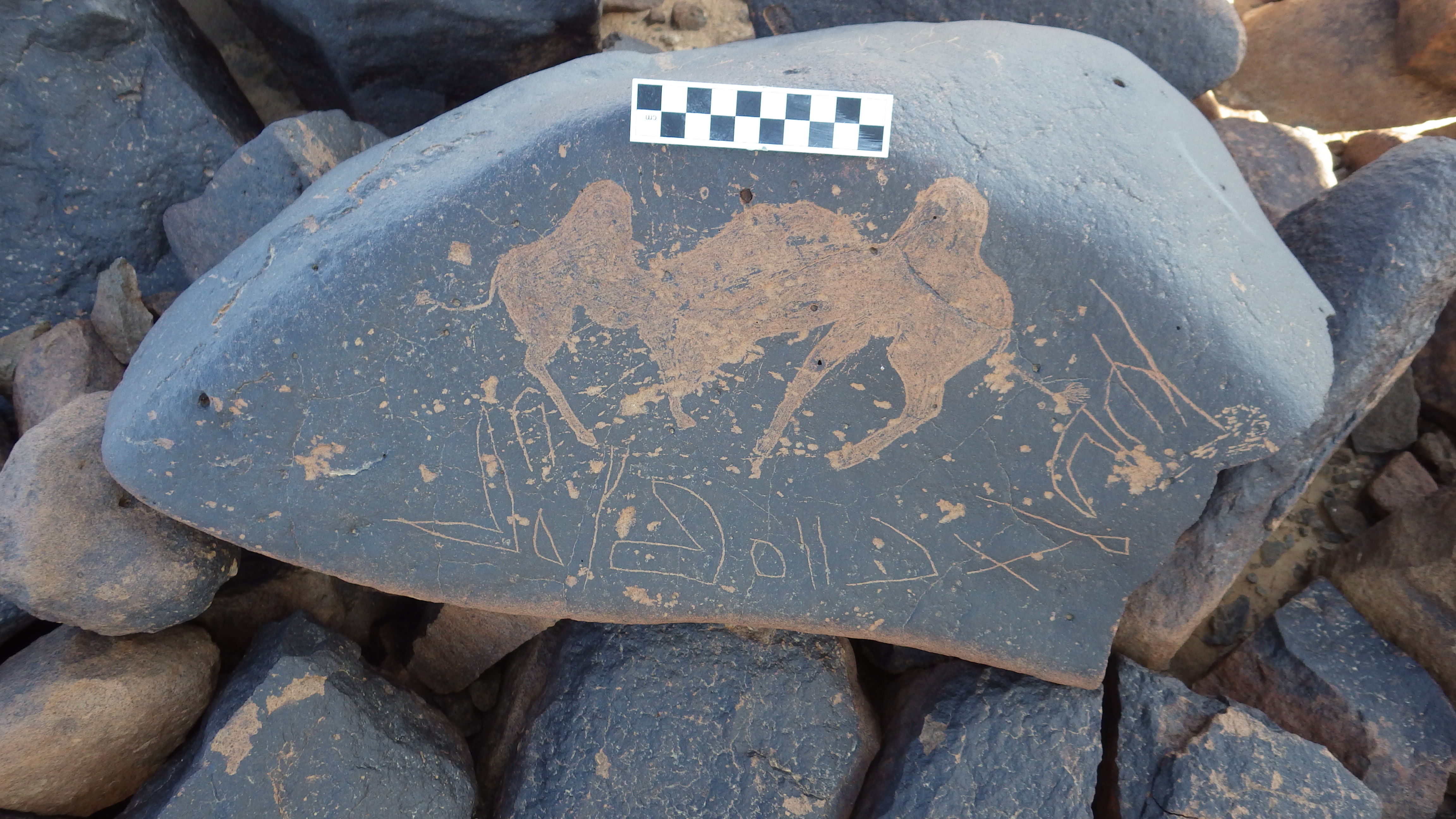 Image of siglum BES20 1456