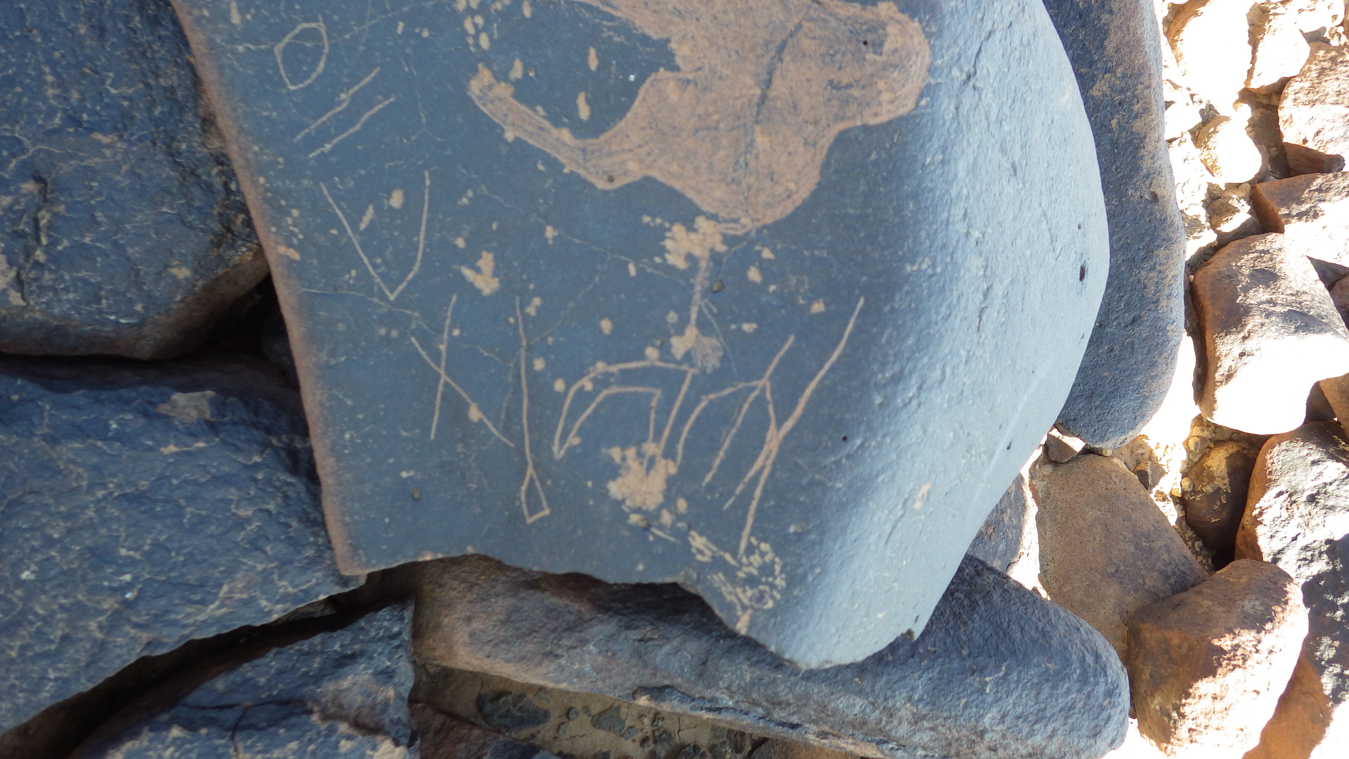 Image of siglum BES20 1456