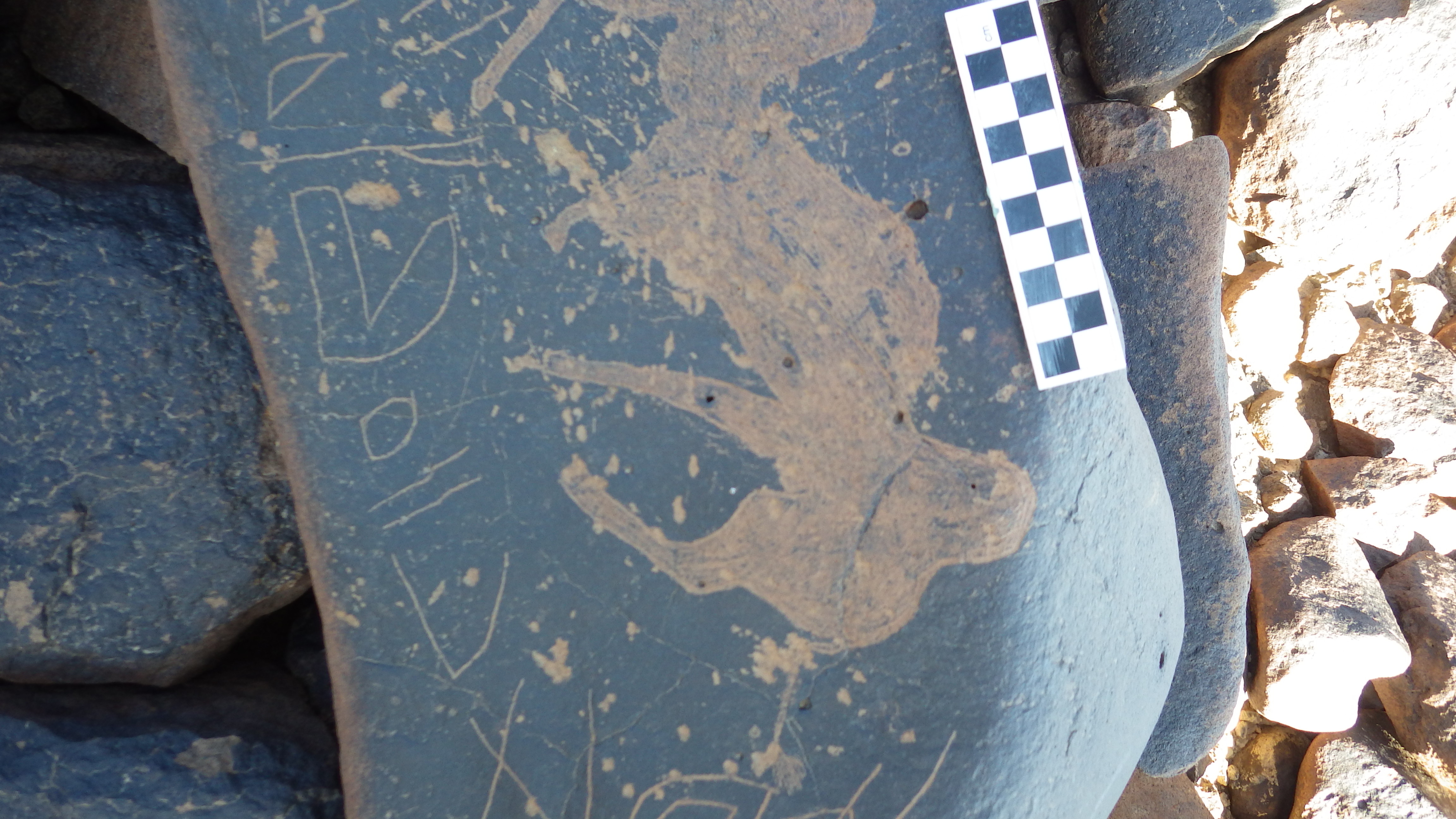 Image of siglum BES20 1456