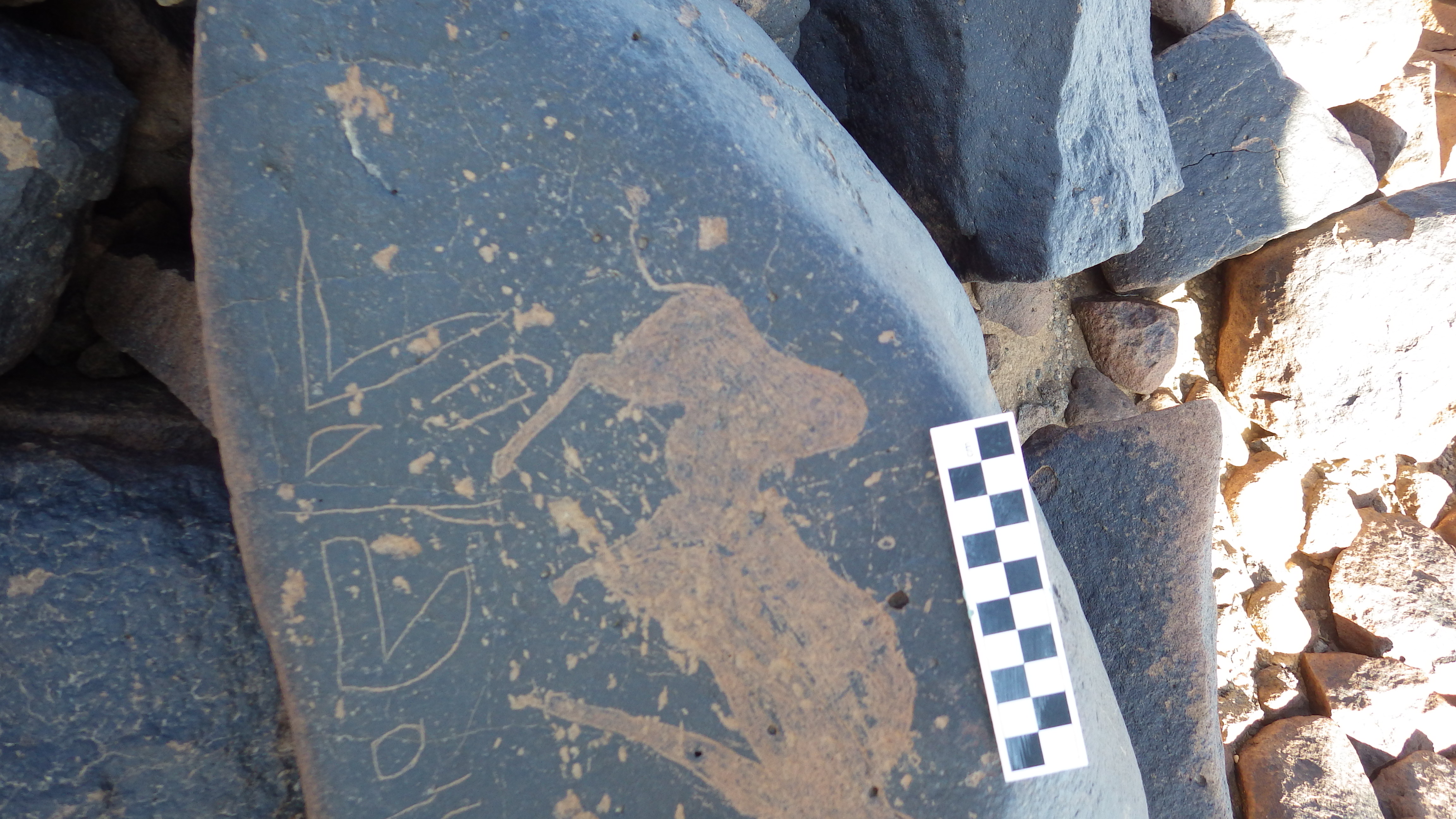 Image of siglum BES20 1456