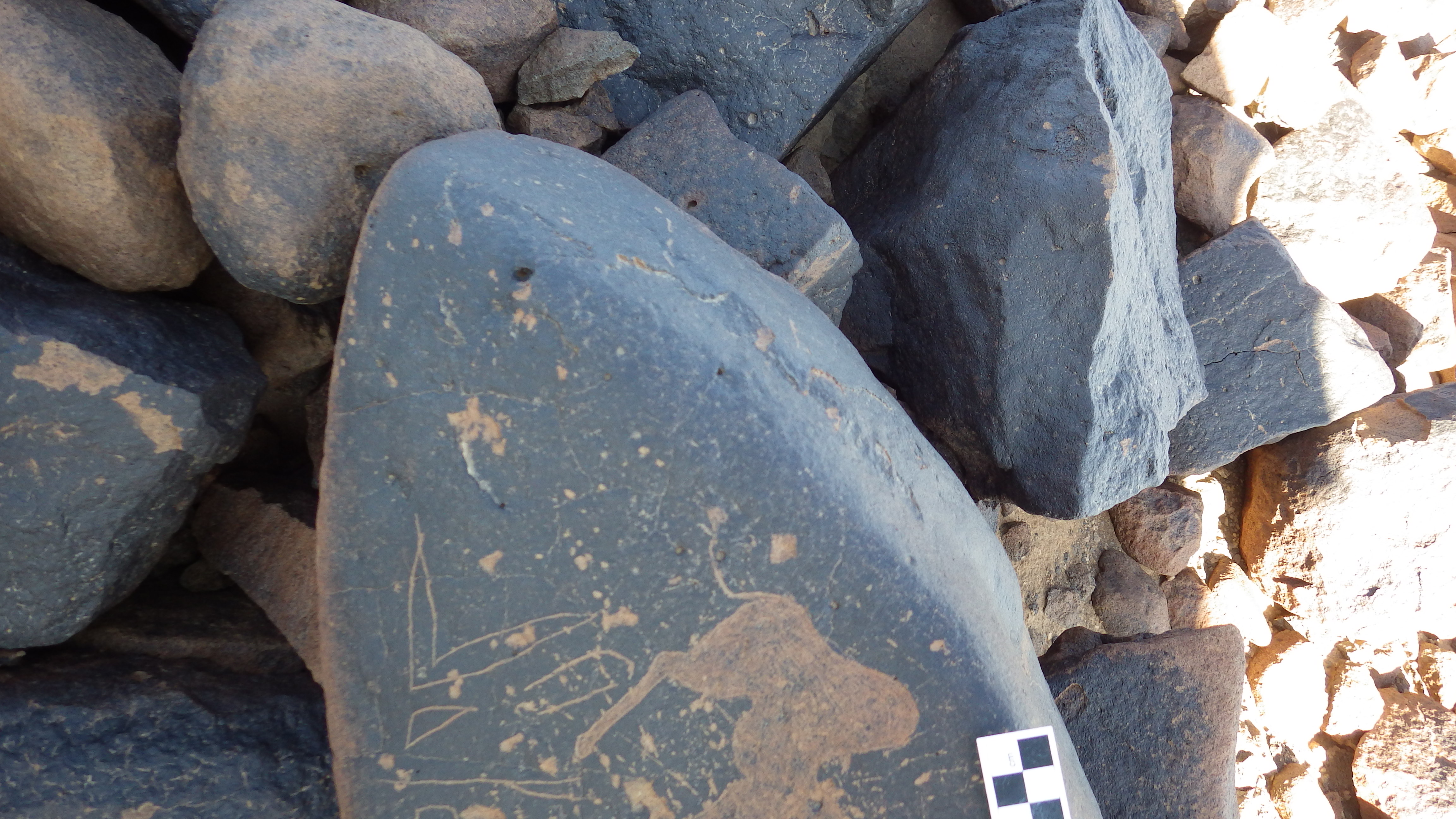 Image of siglum BES20 1456