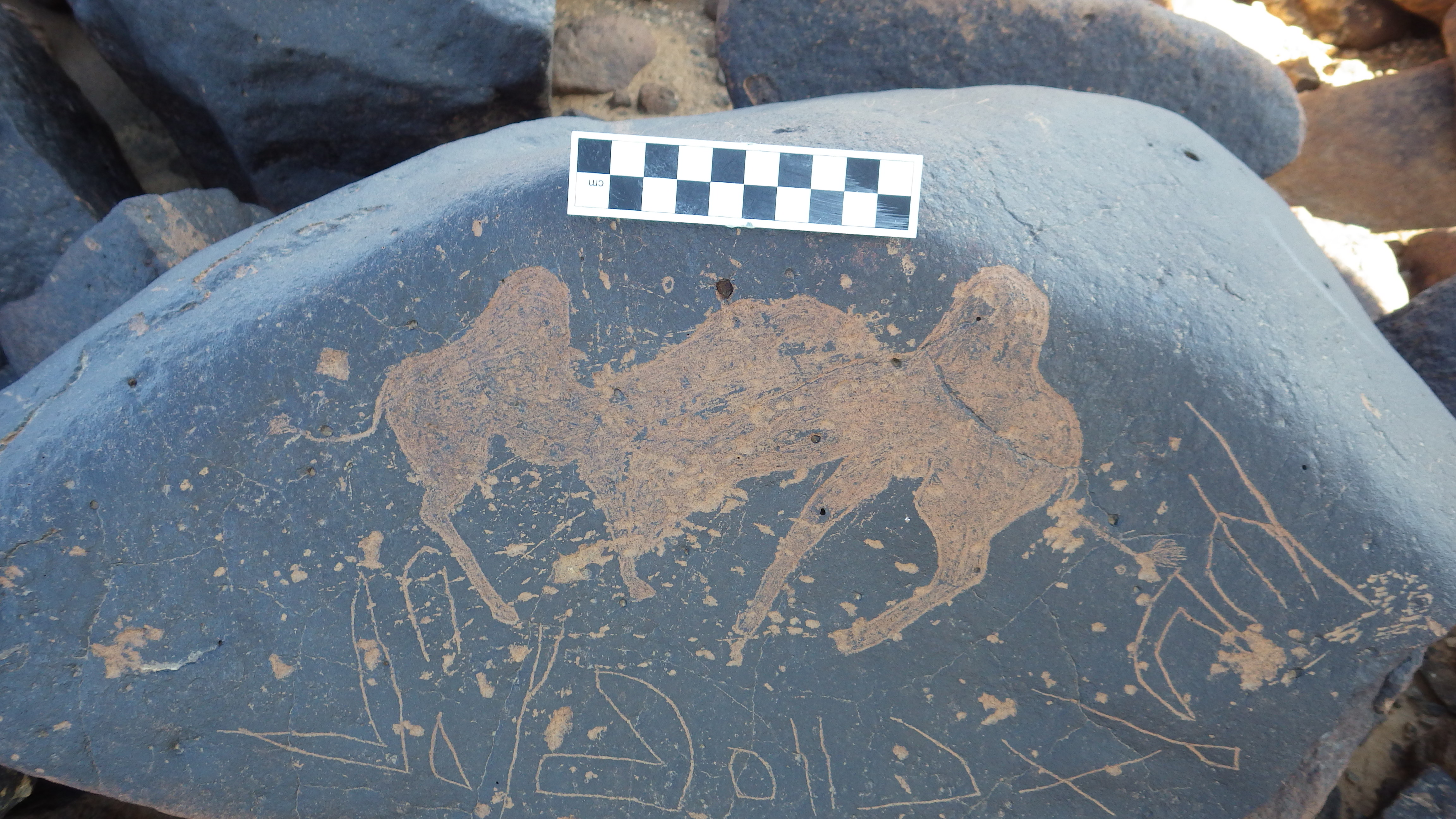 Image of siglum BES20 1456