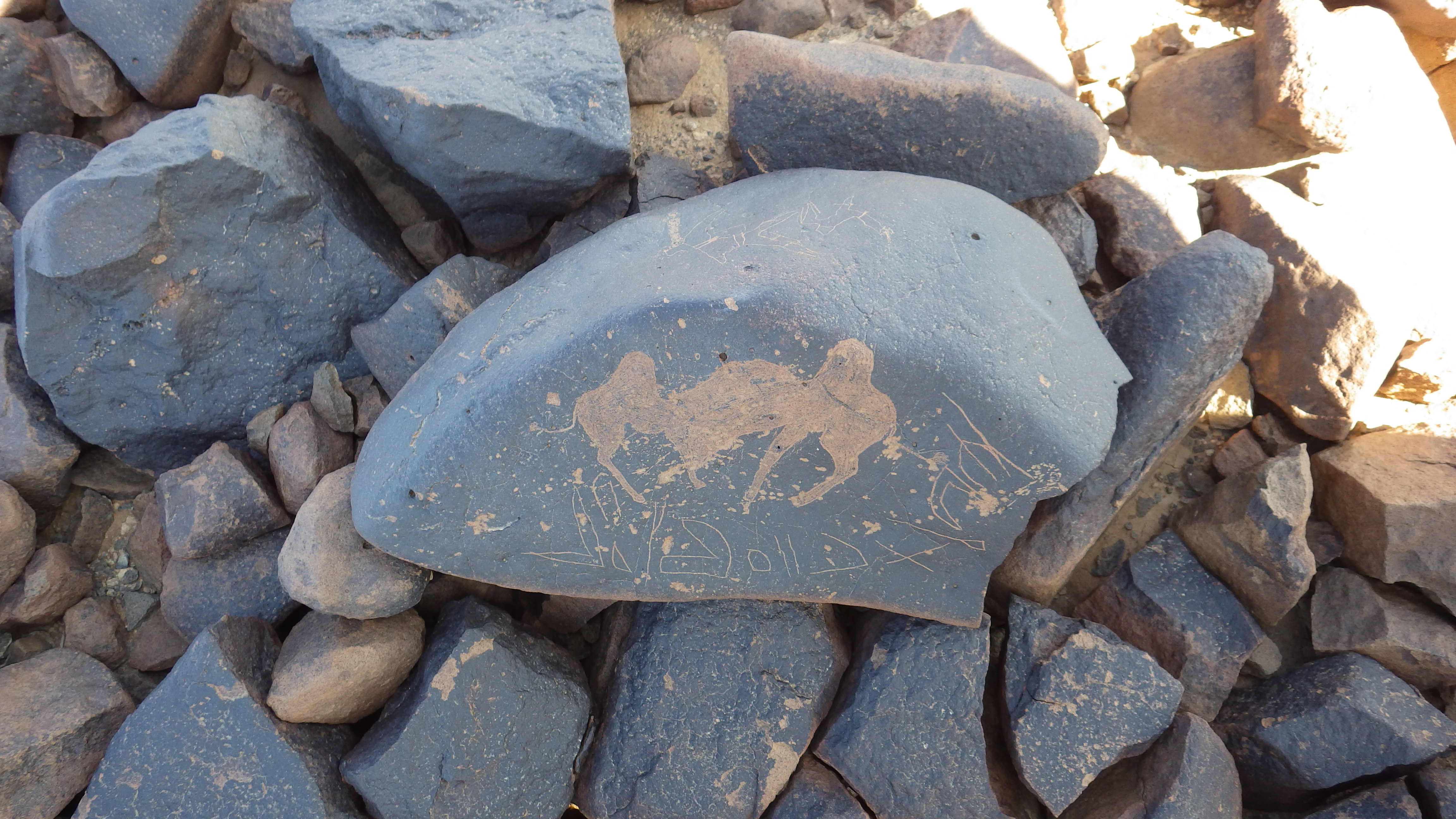 Image of siglum BES20 1456