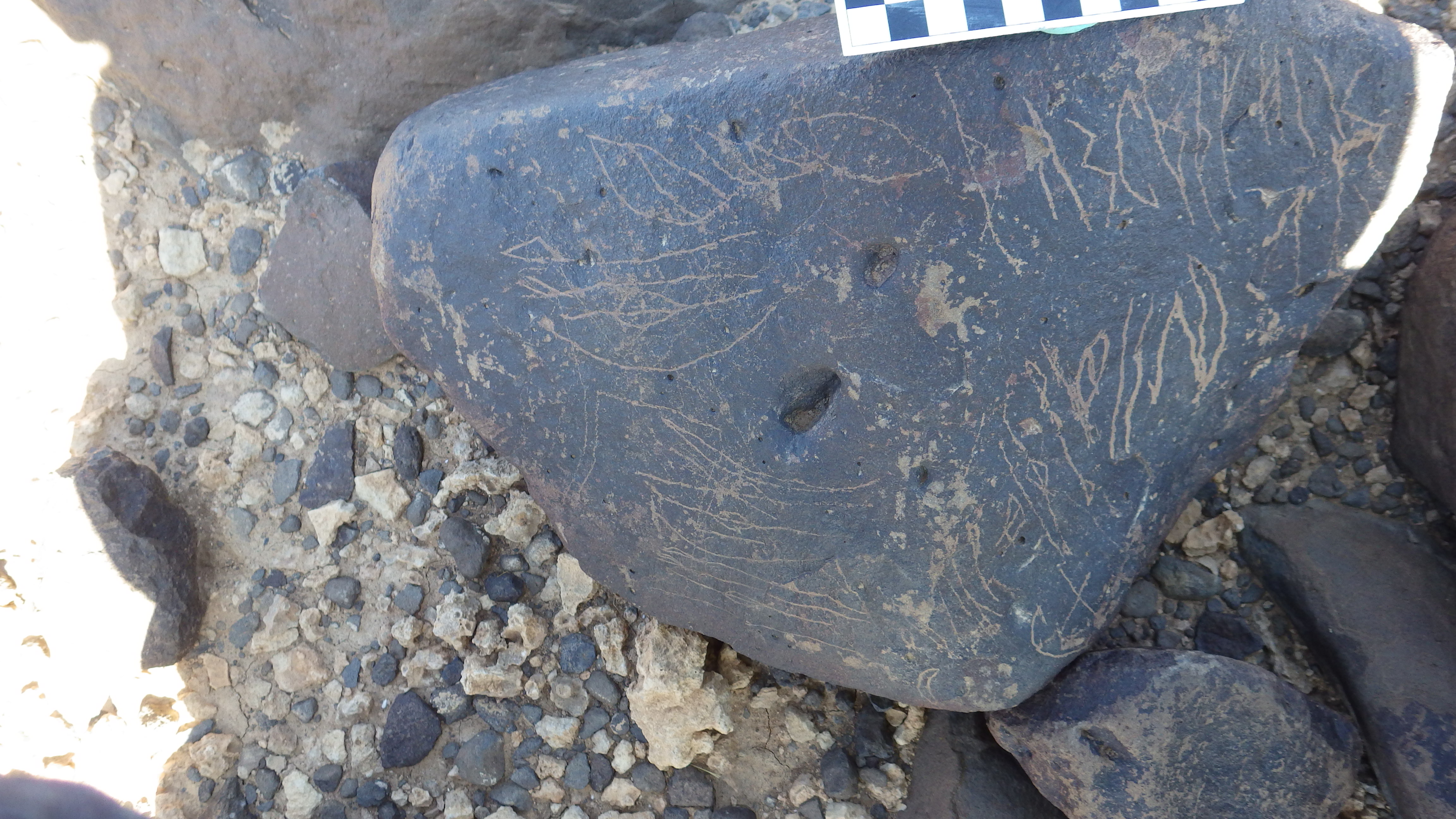 Image of siglum BES20 1458