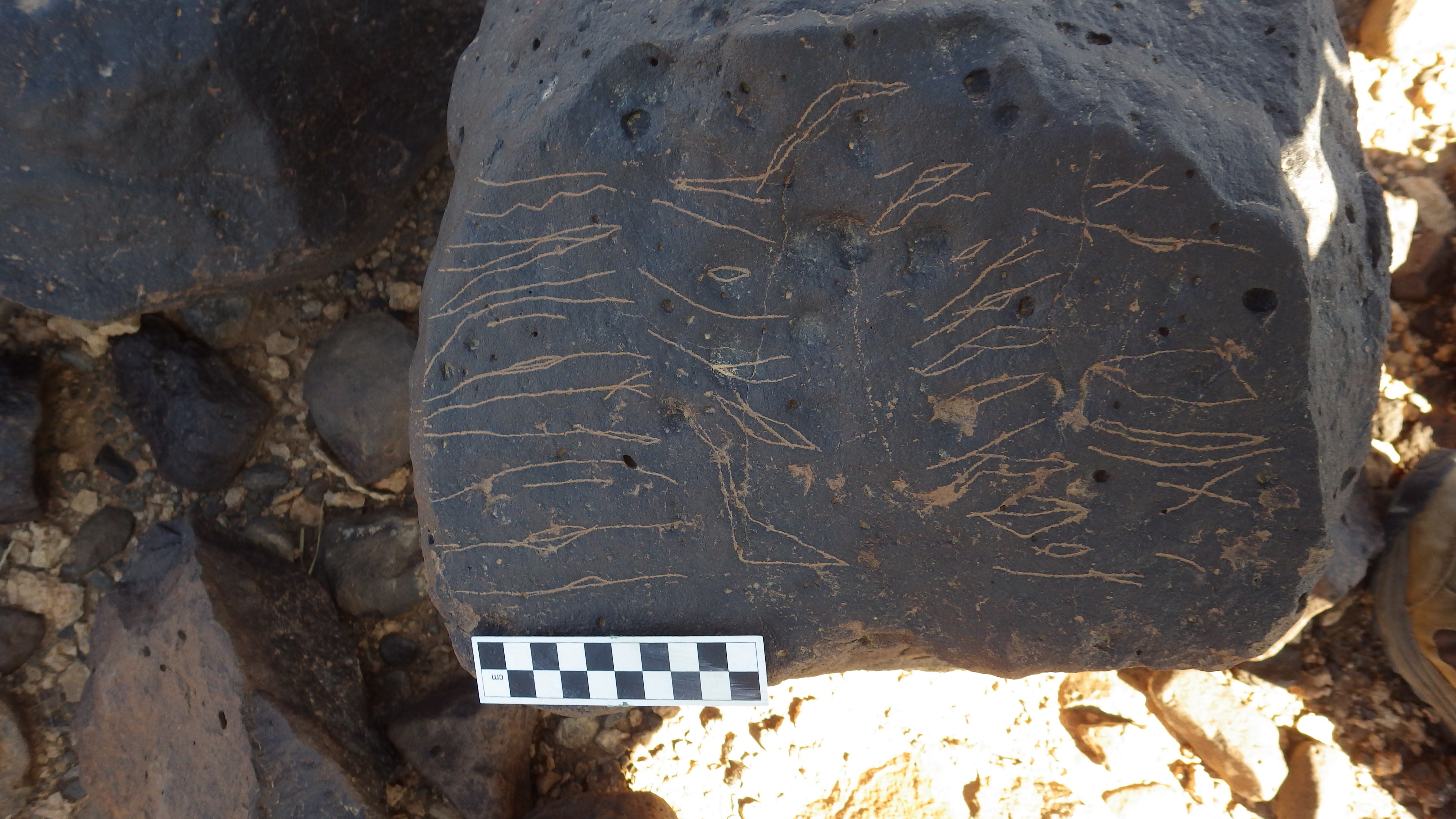 Image of siglum BES20 1459