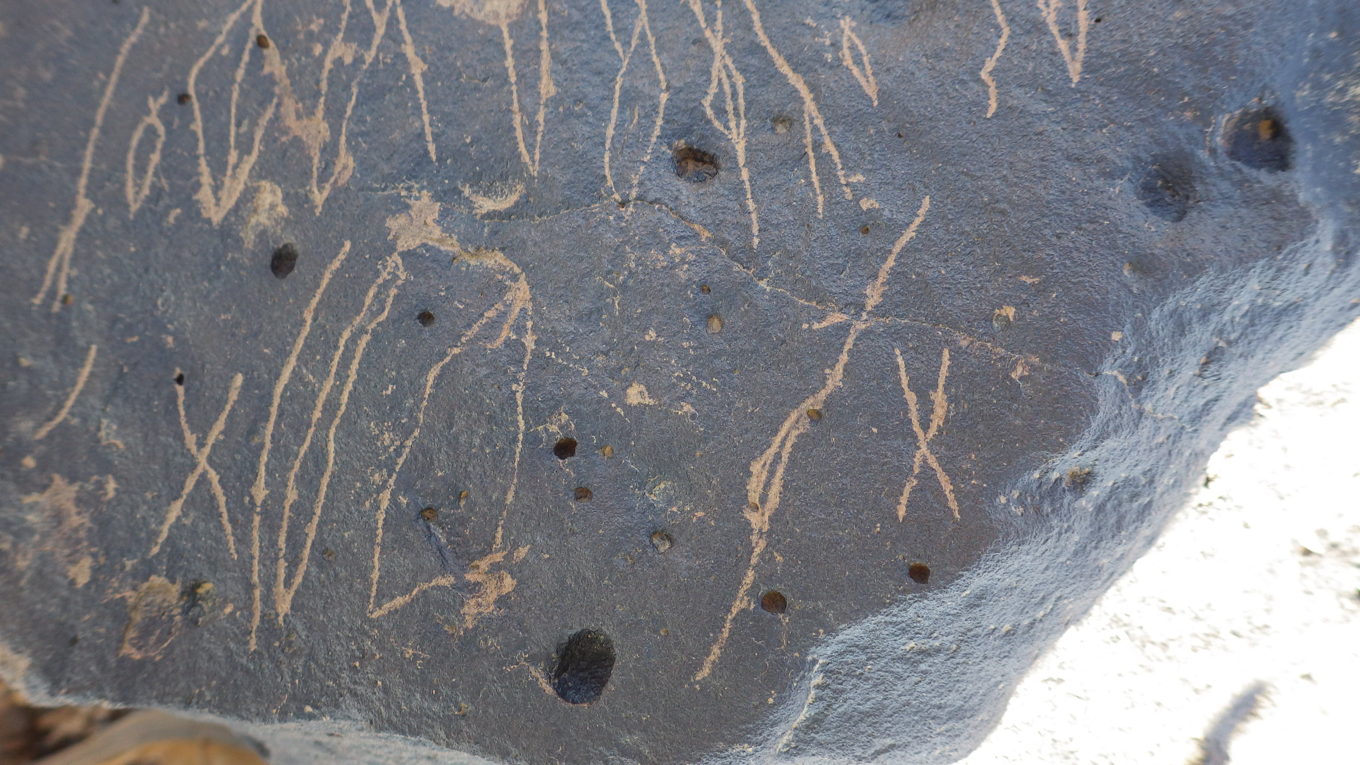 Image of siglum BES20 1459