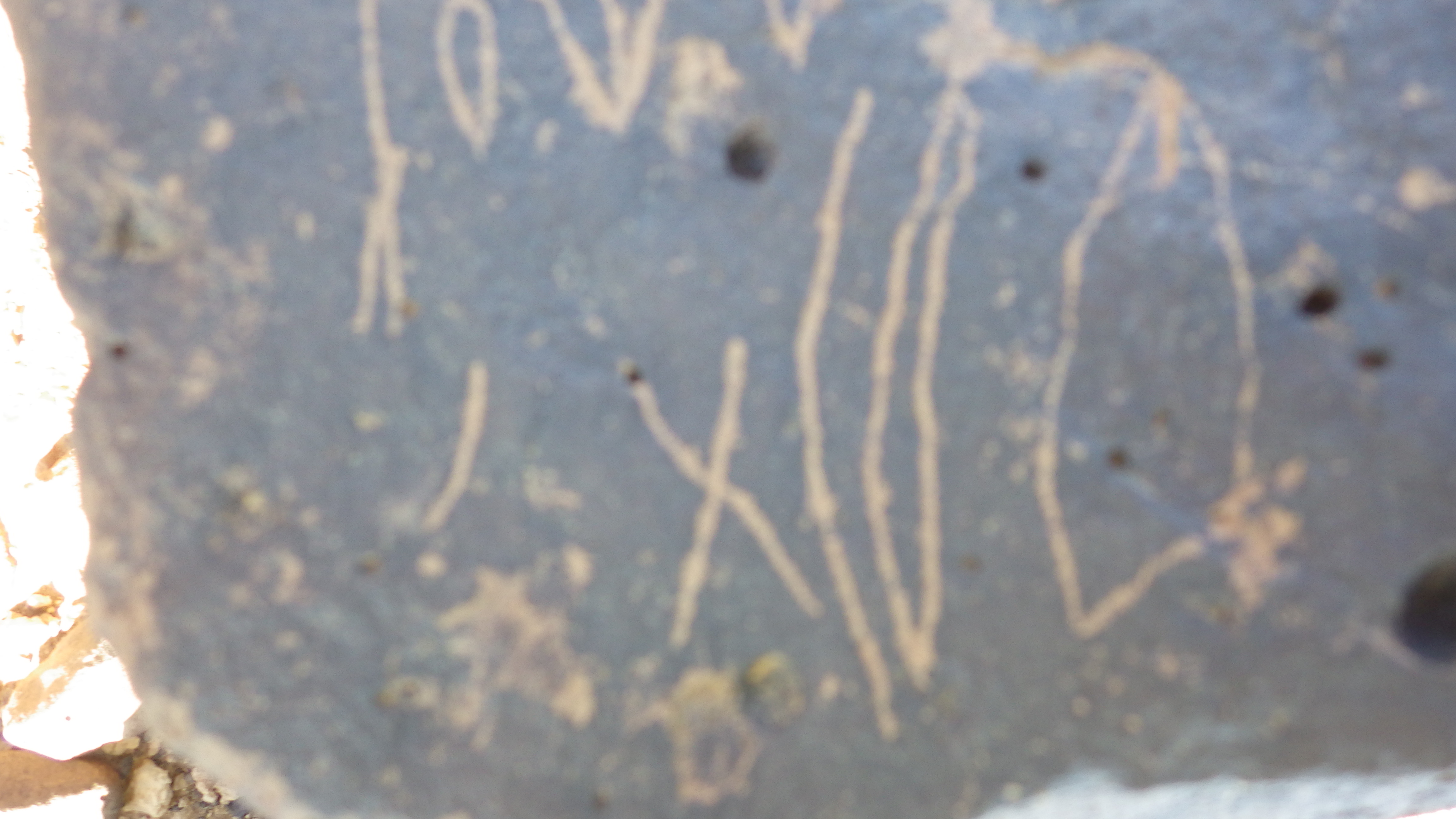 Image of siglum BES20 1459