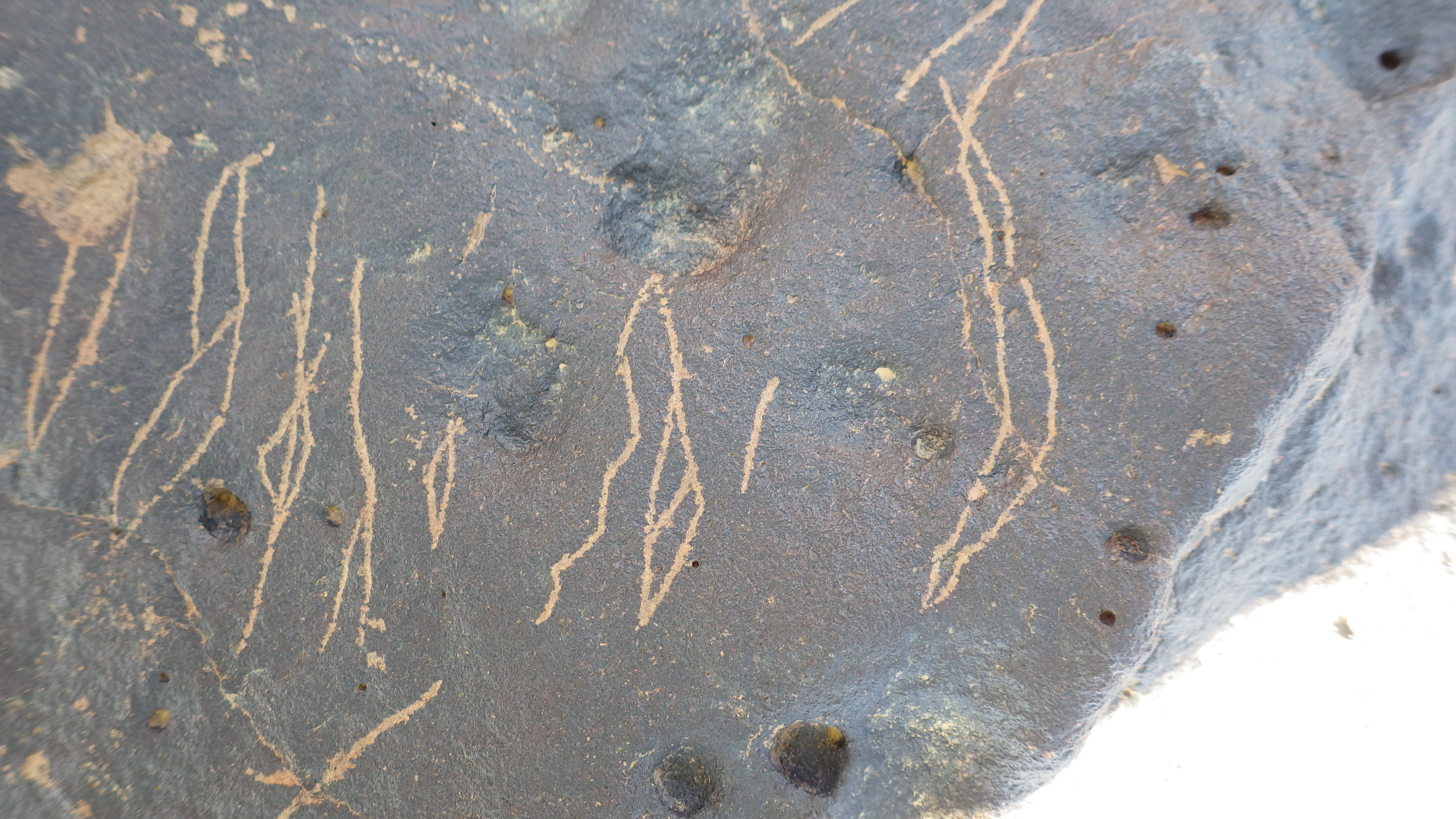 Image of siglum BES20 1459