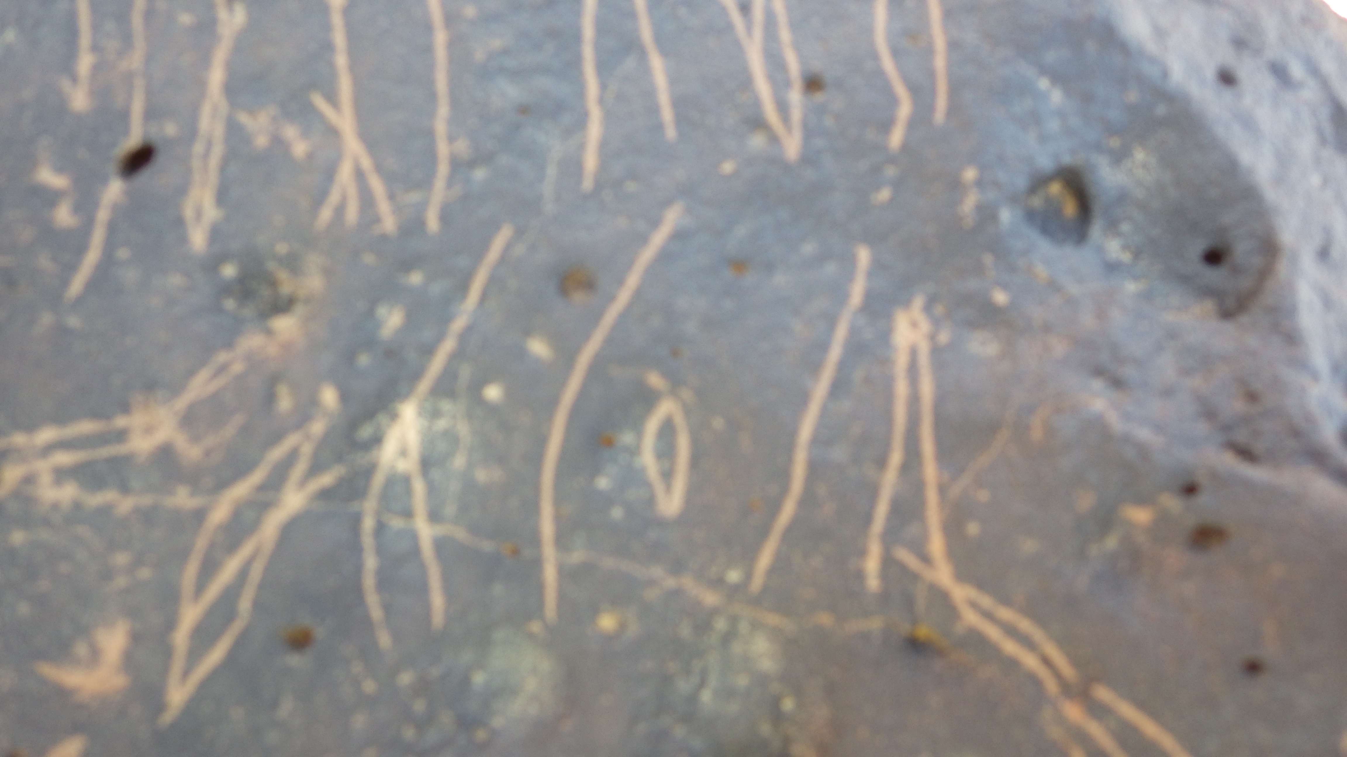 Image of siglum BES20 1459