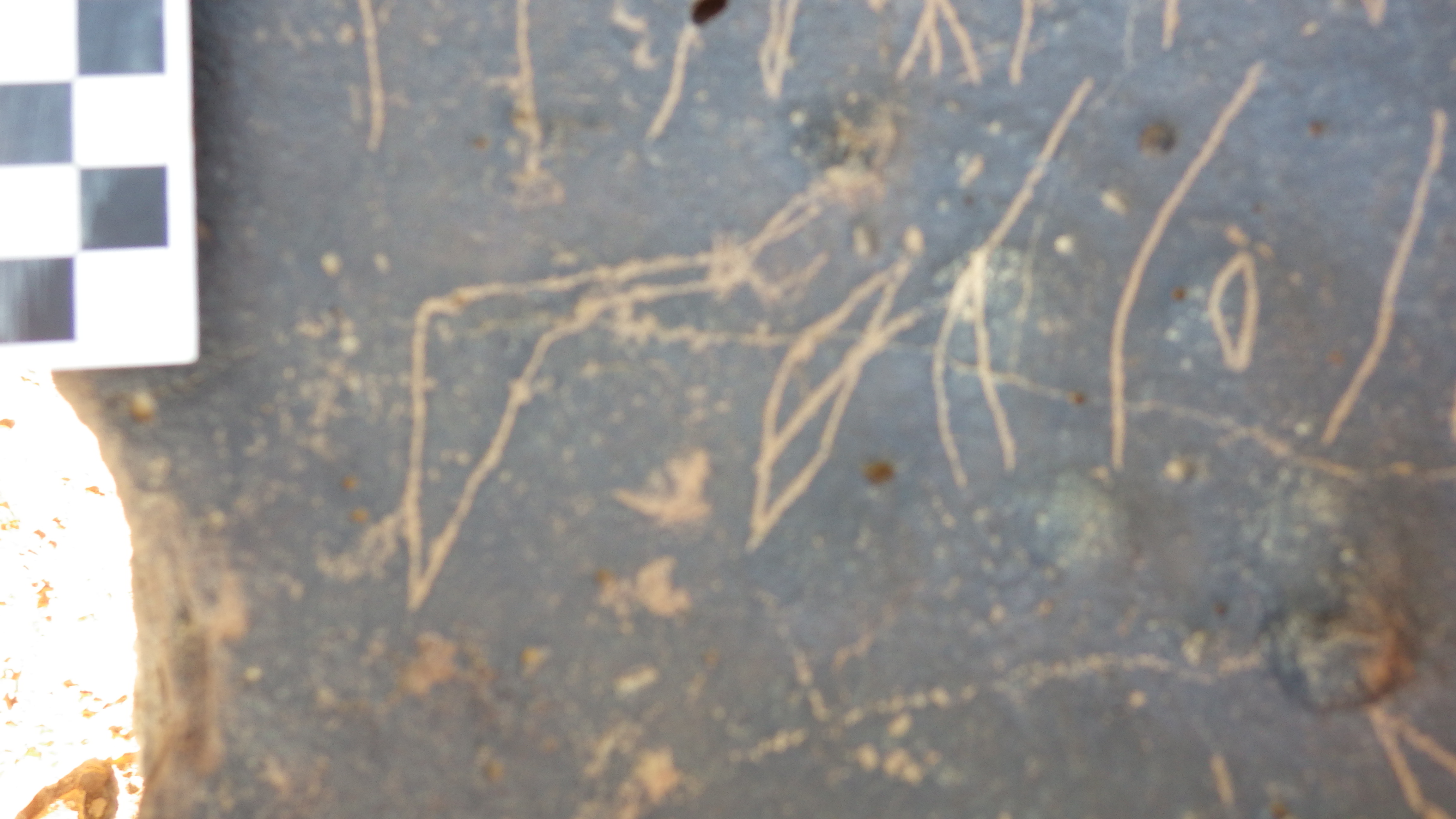 Image of siglum BES20 1459