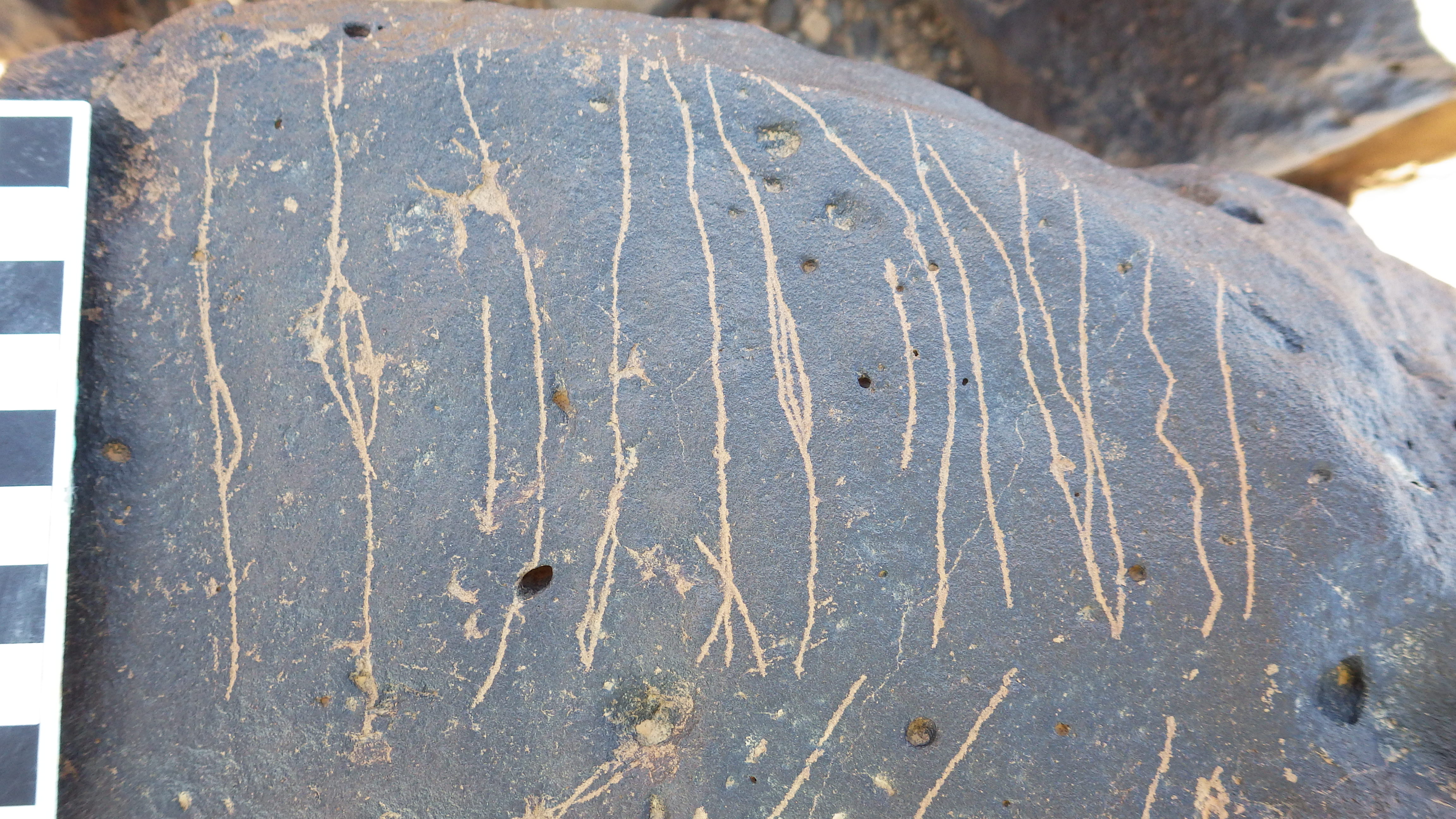 Image of siglum BES20 1459