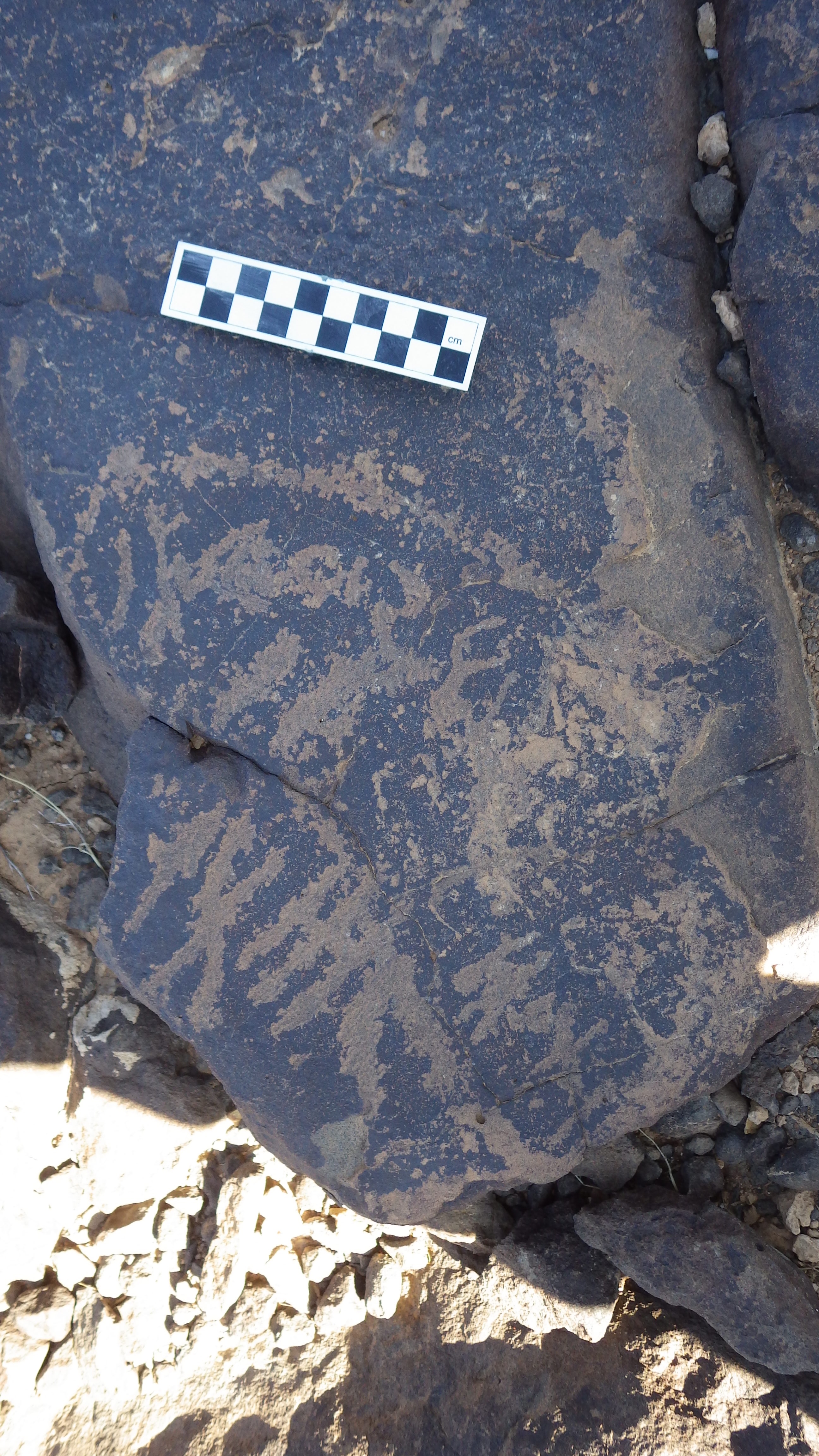 Image of siglum BES20 1460