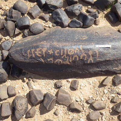 Image of siglum BES20 1461