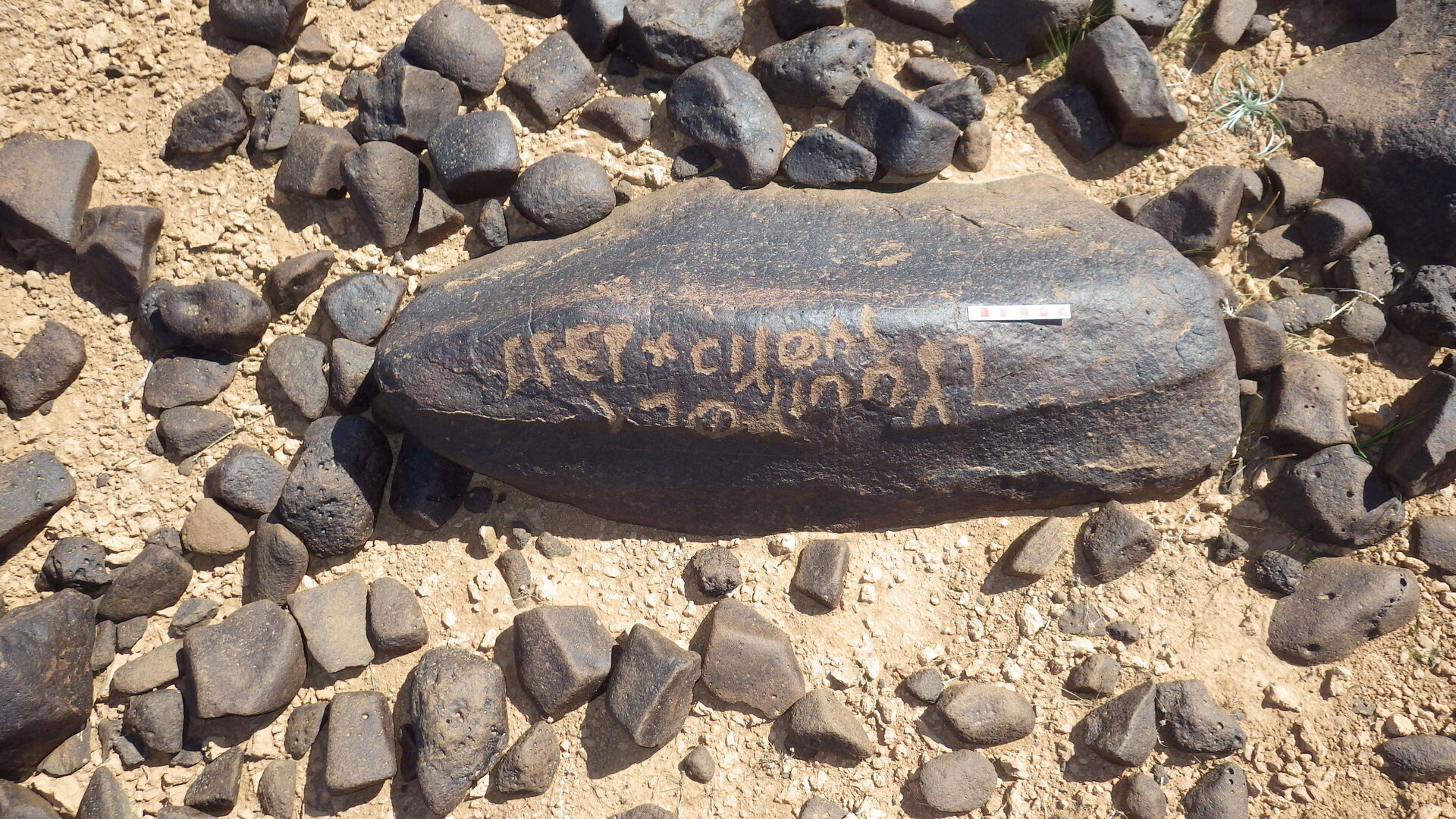 Image of siglum BES20 1461