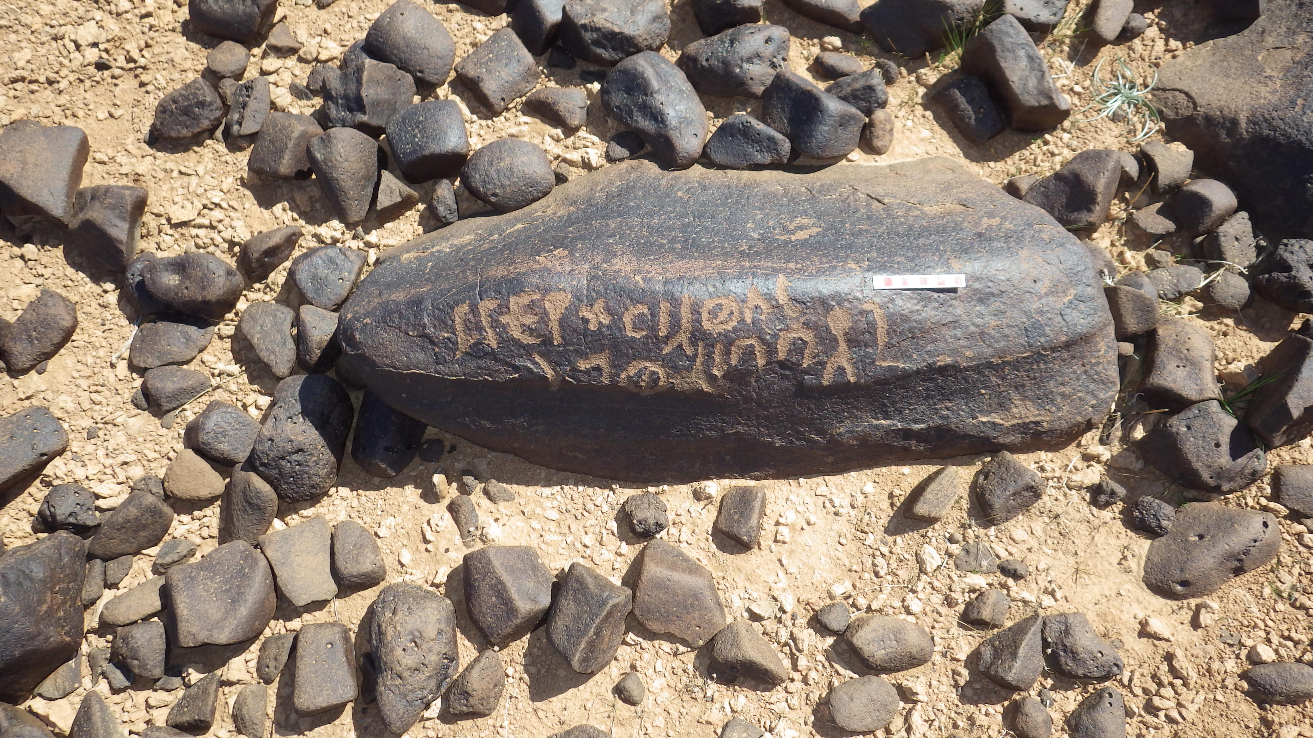 Image of siglum BES20 1462