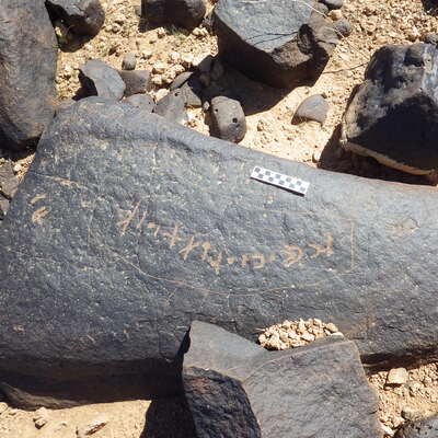 Image of siglum BES20 1463