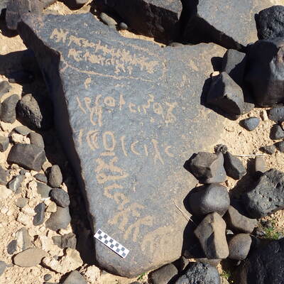 Image of siglum BES20 1464