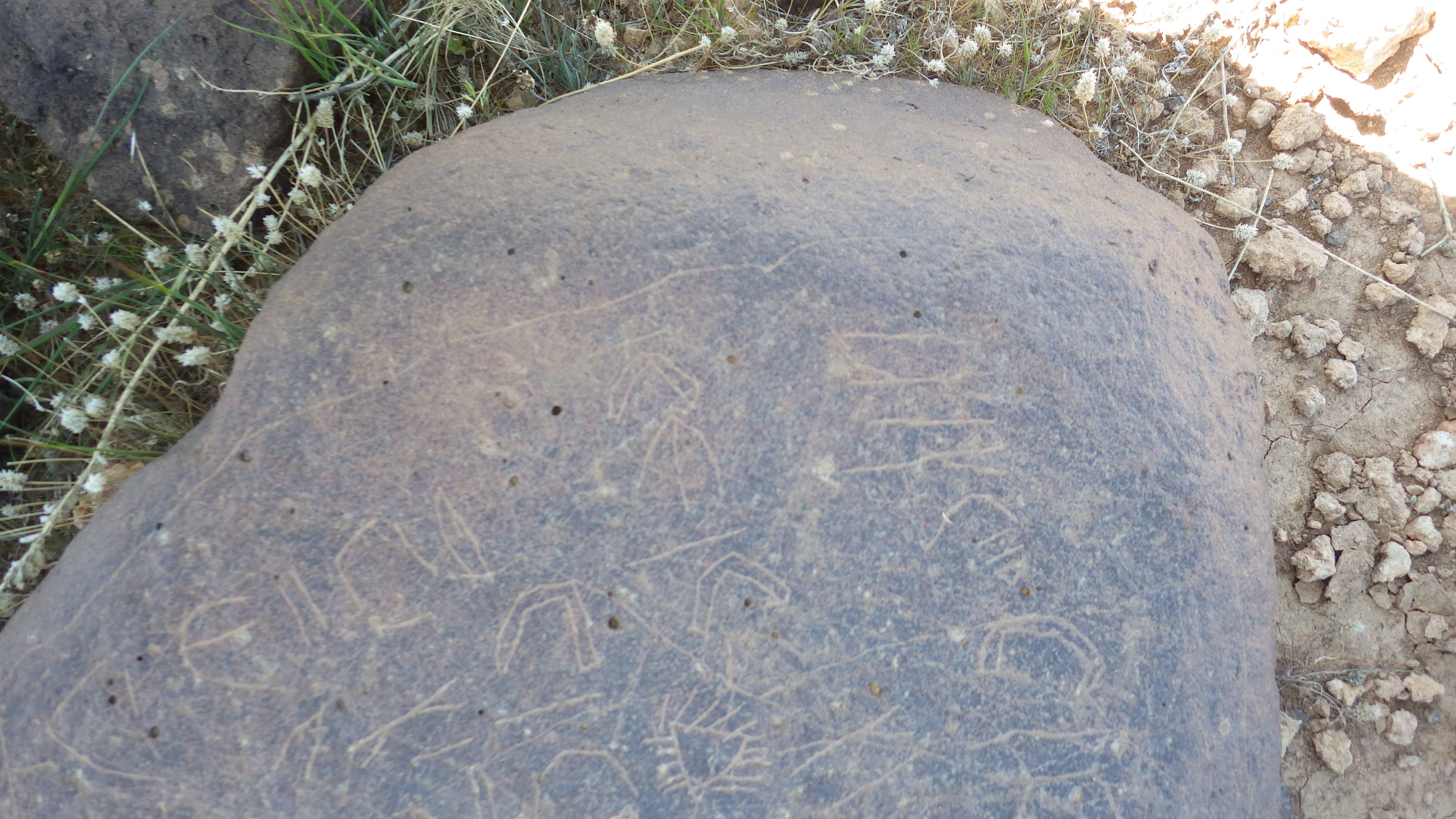 Image of siglum BES20 1472