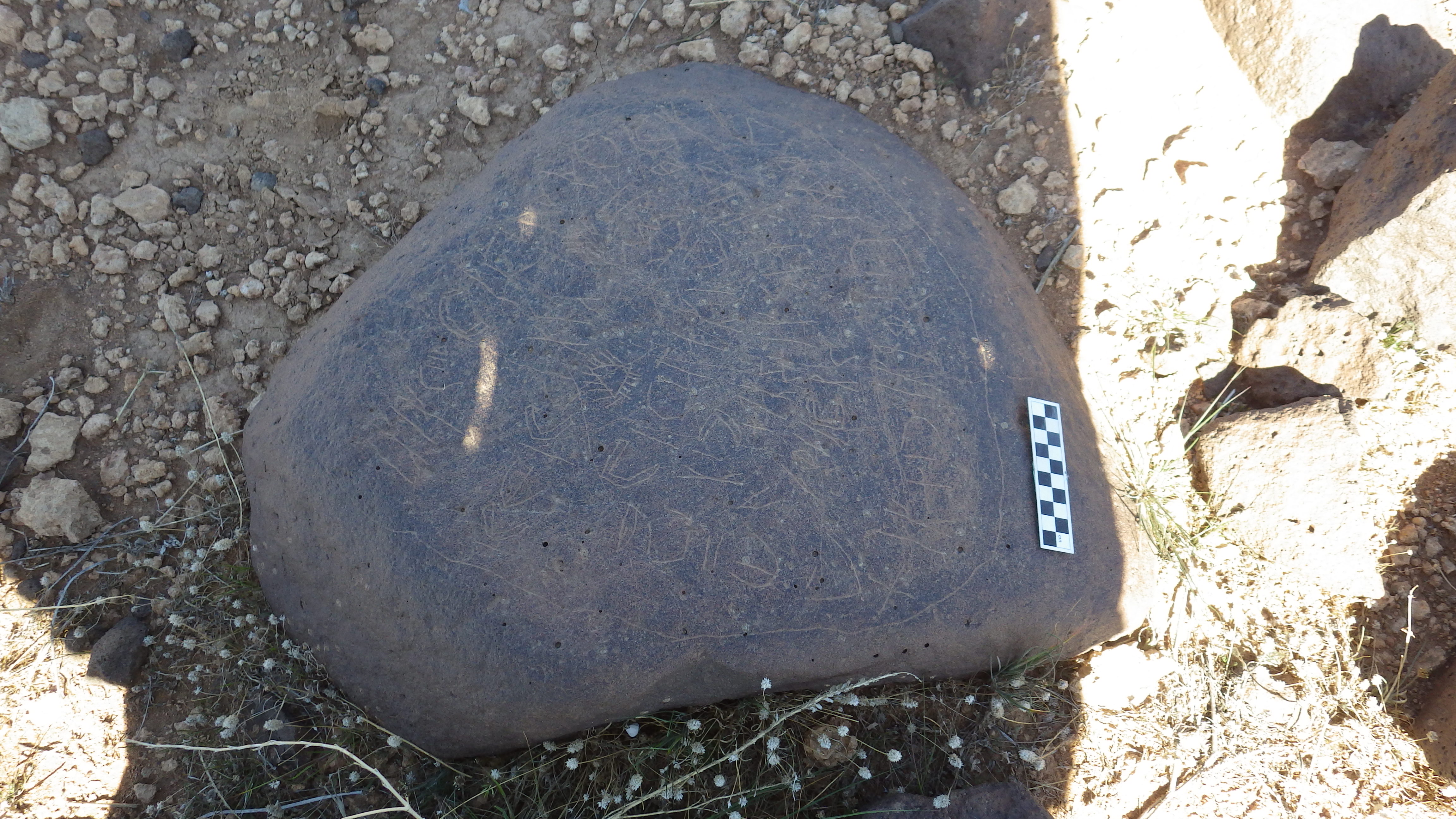 Image of siglum BES20 1473