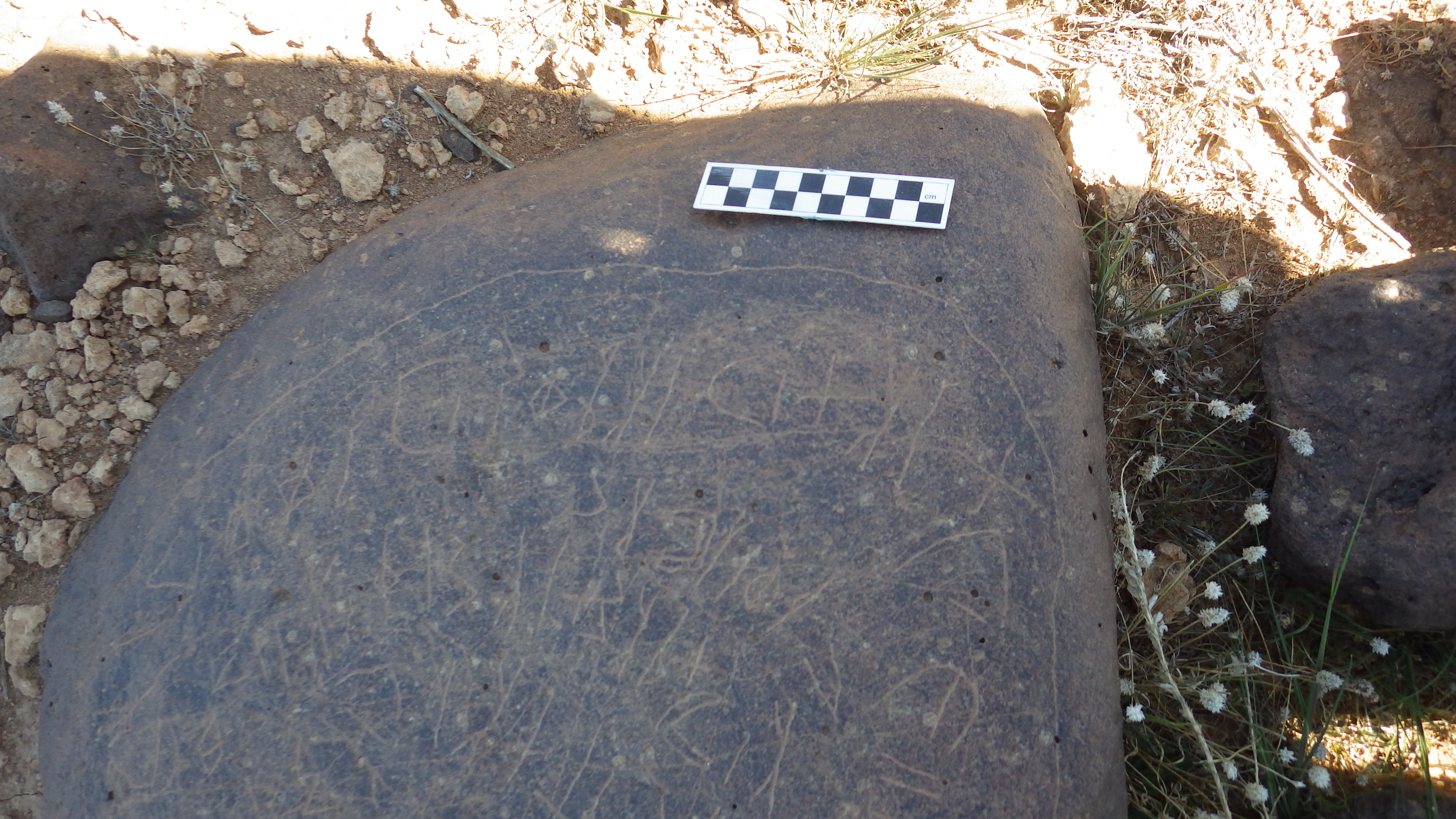 Image of siglum BES20 1473