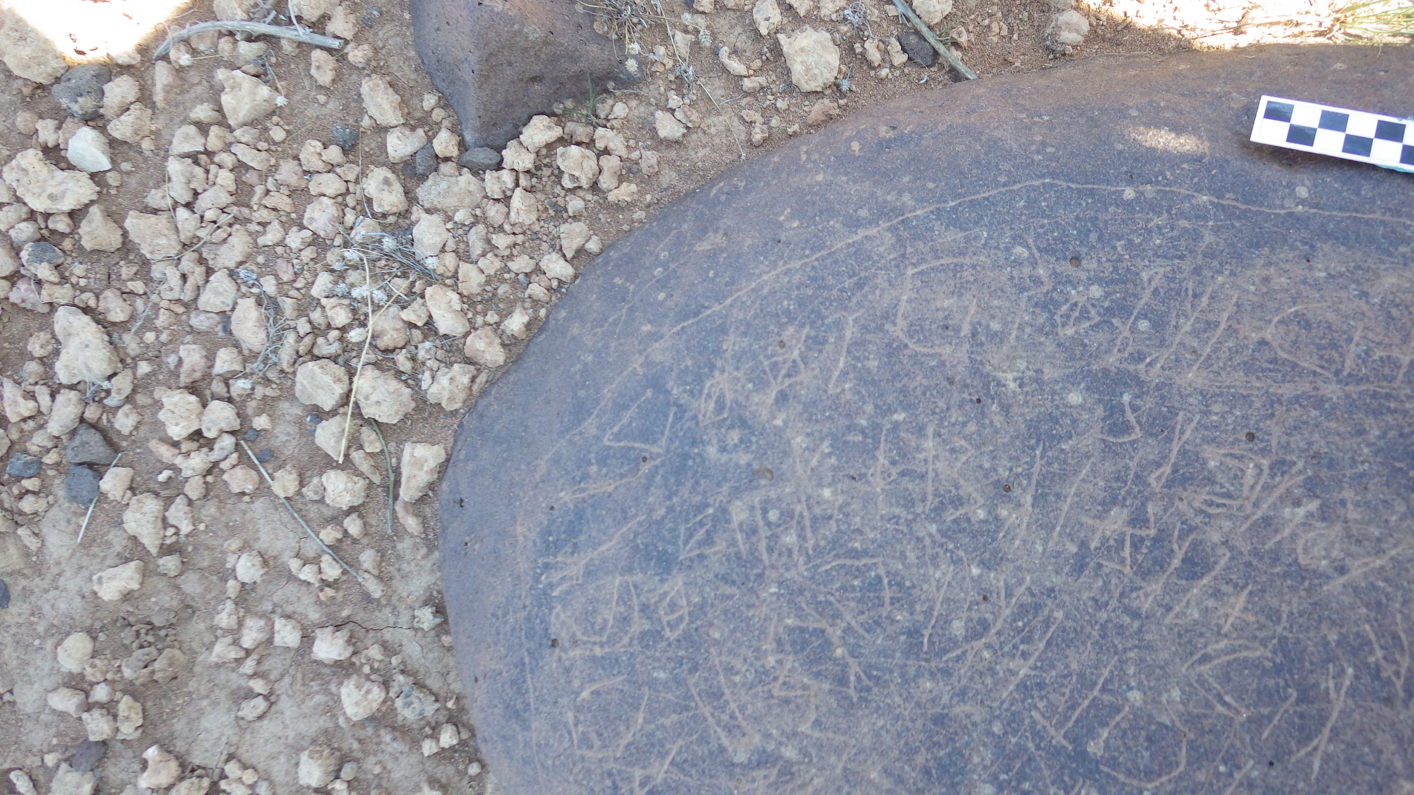 Image of siglum BES20 1473